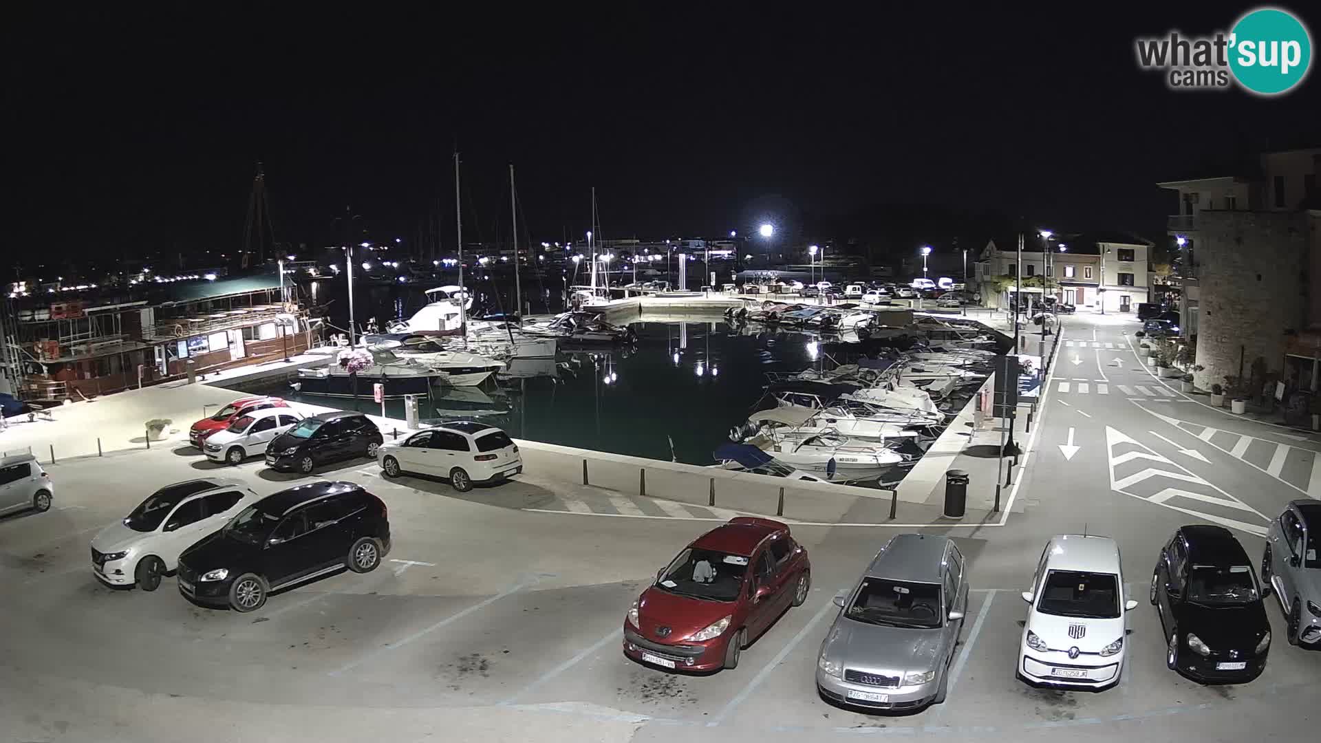 Novigrad | Porporela marina