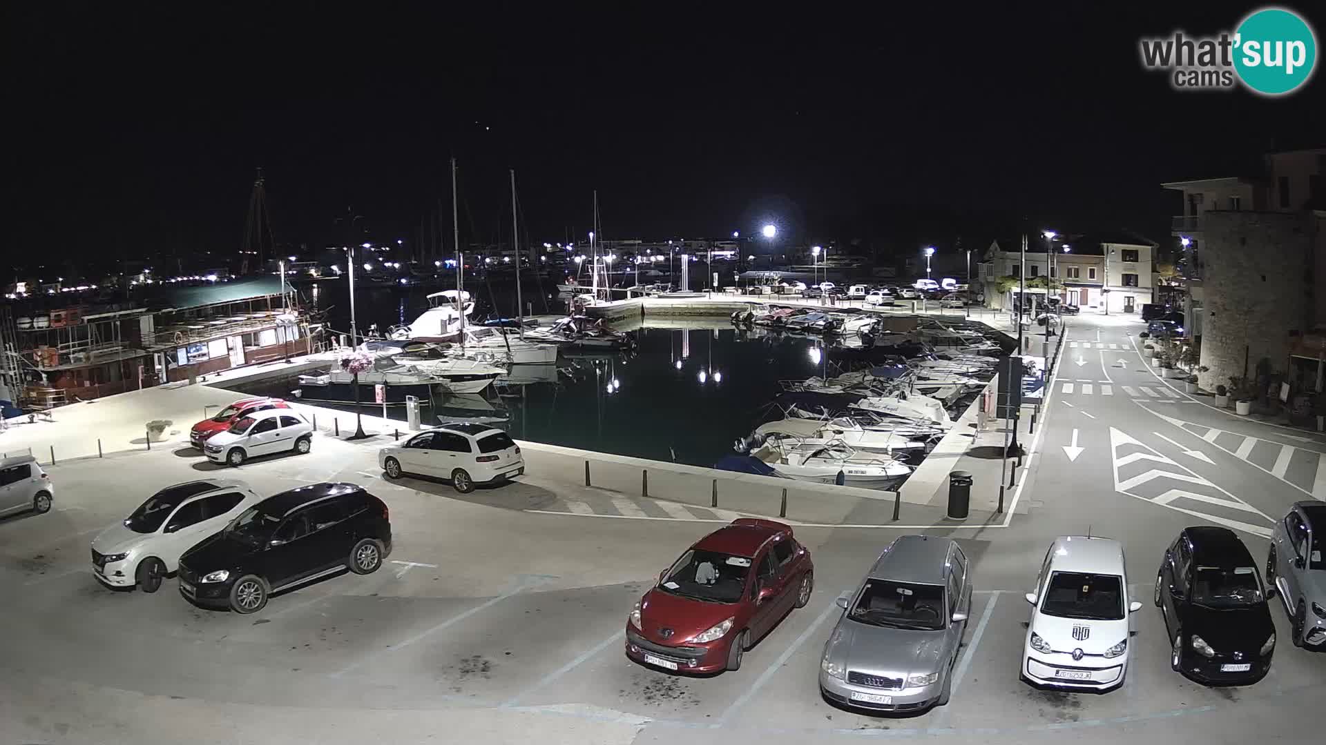 Novigrad | Porporela marina