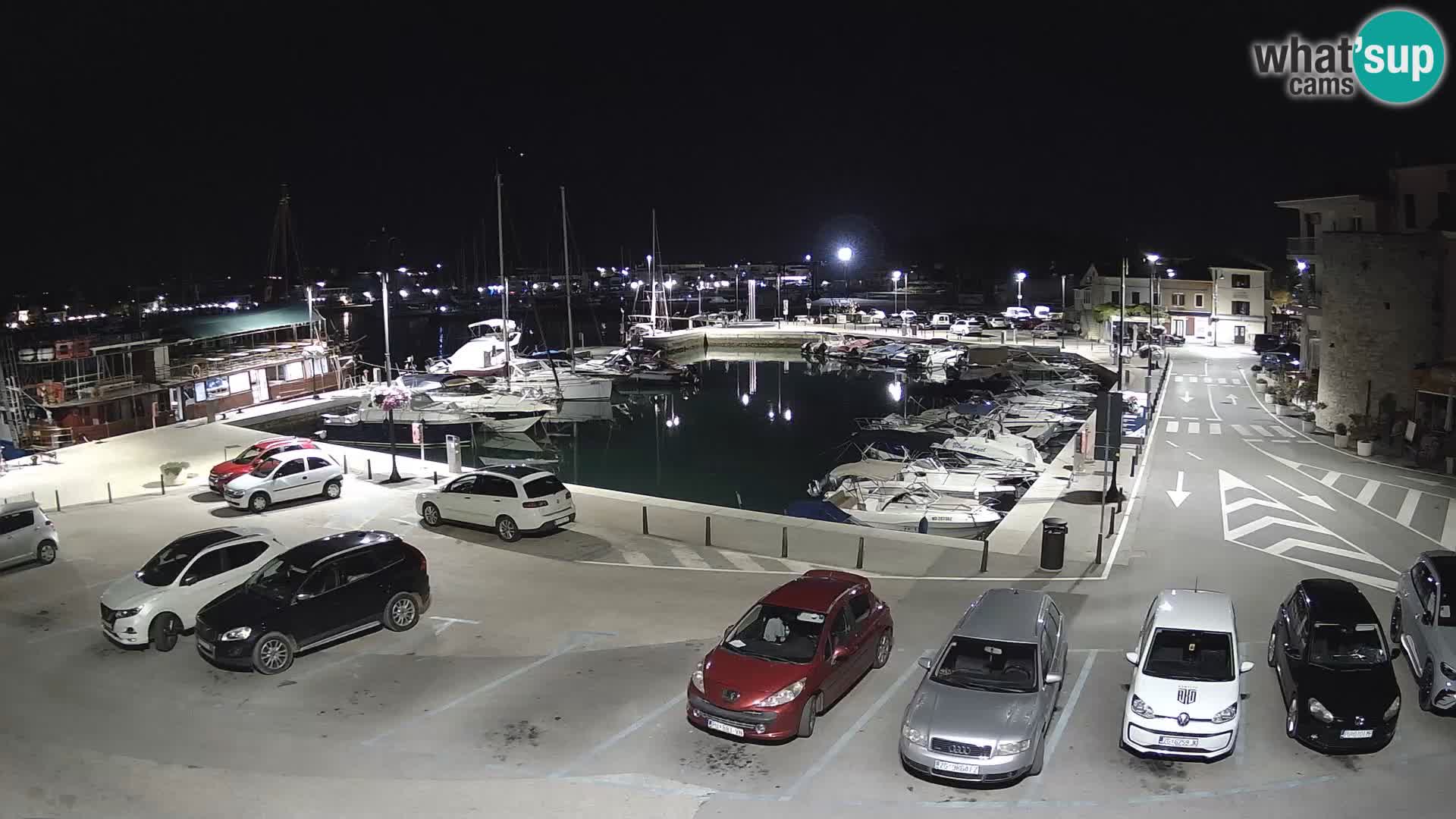 Novigrad | Porporela marina