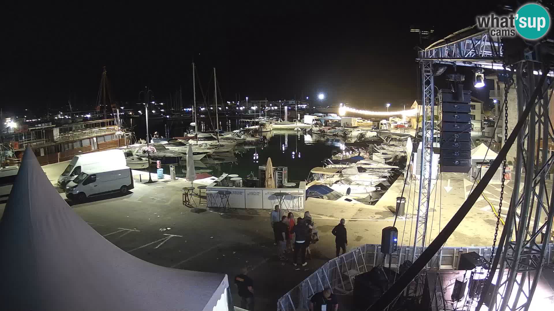 Novigrad | Porporela marina