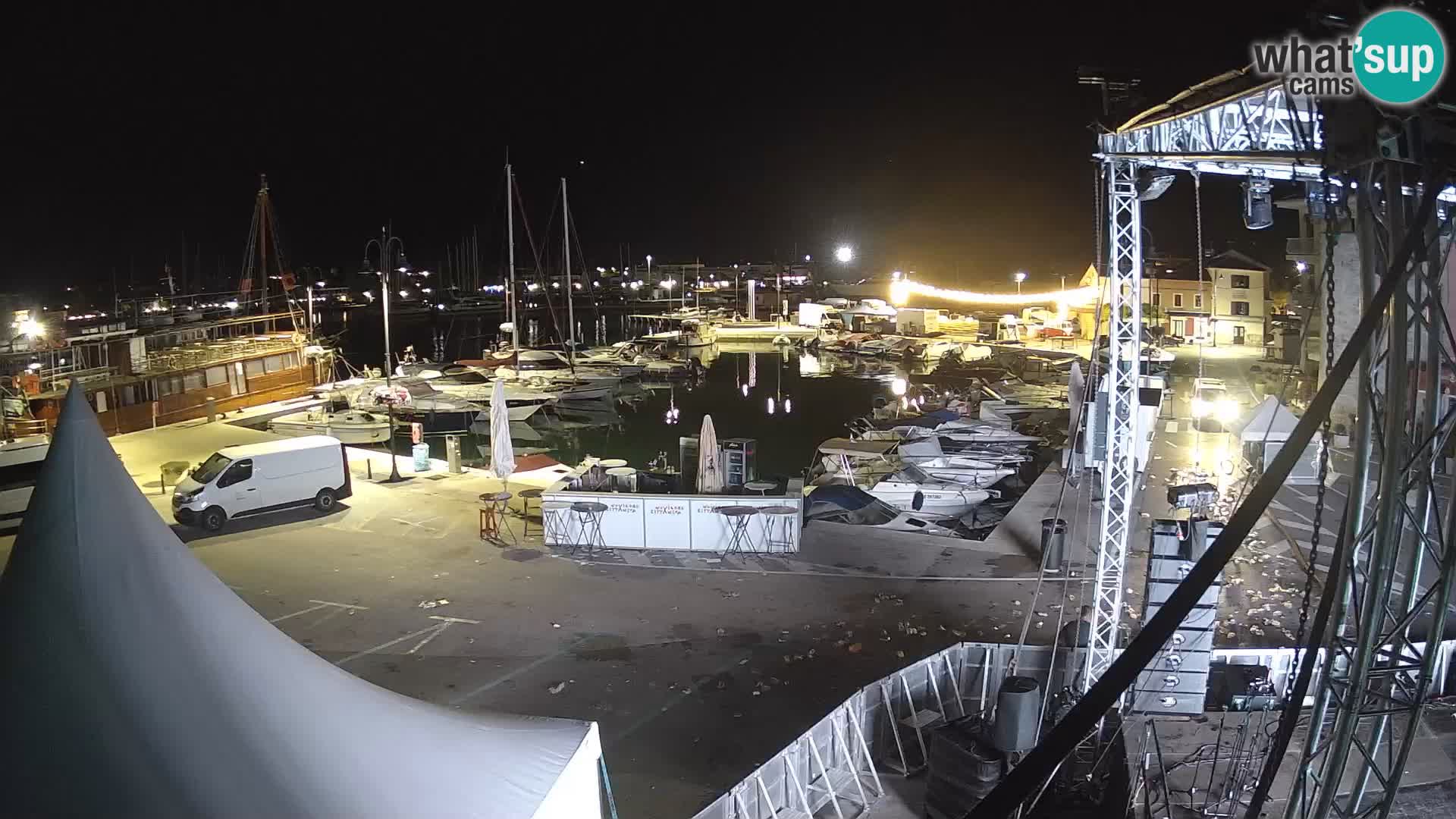 Novigrad | Porporela marina