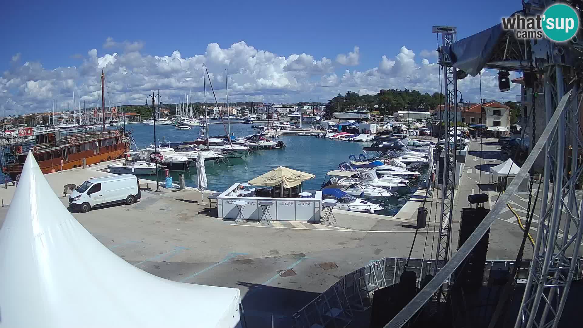 Novigrad | Porporela marina