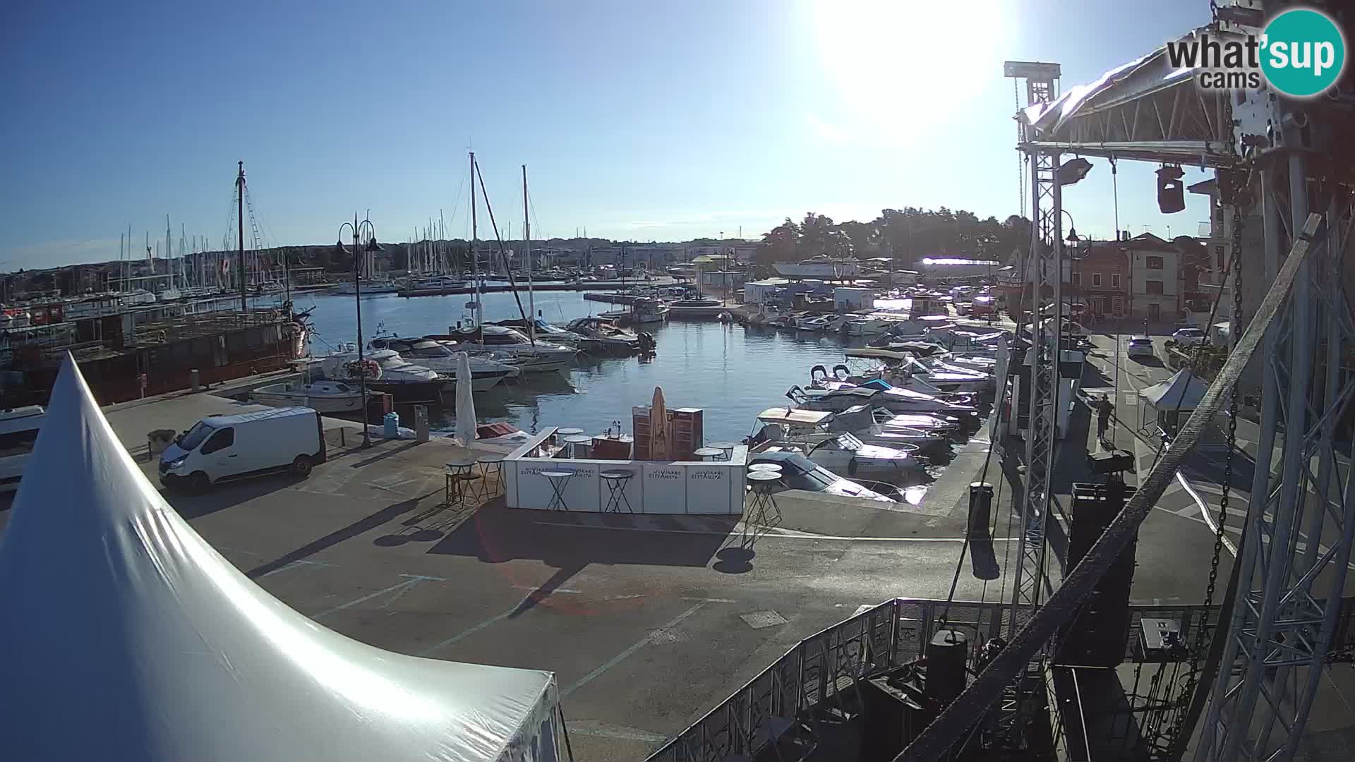 Novigrad | Porporela marina