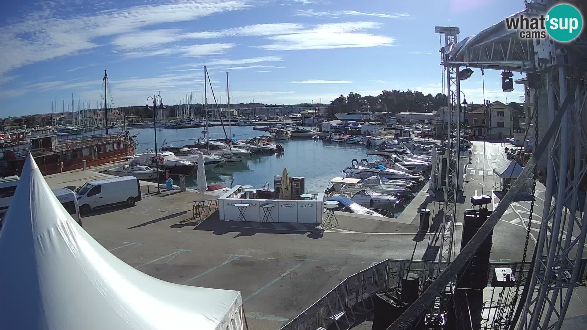 Novigrad | Porporela marina