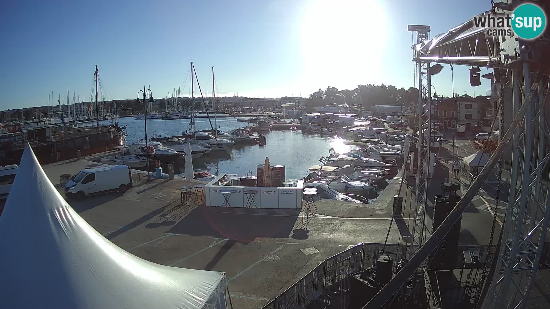 Novigrad | Porporela marina
