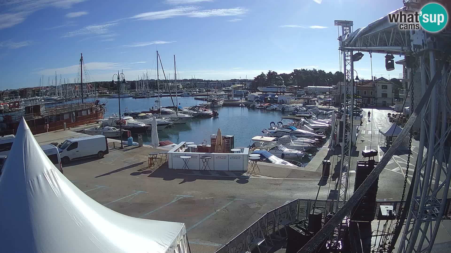 Novigrad | Porporela marina