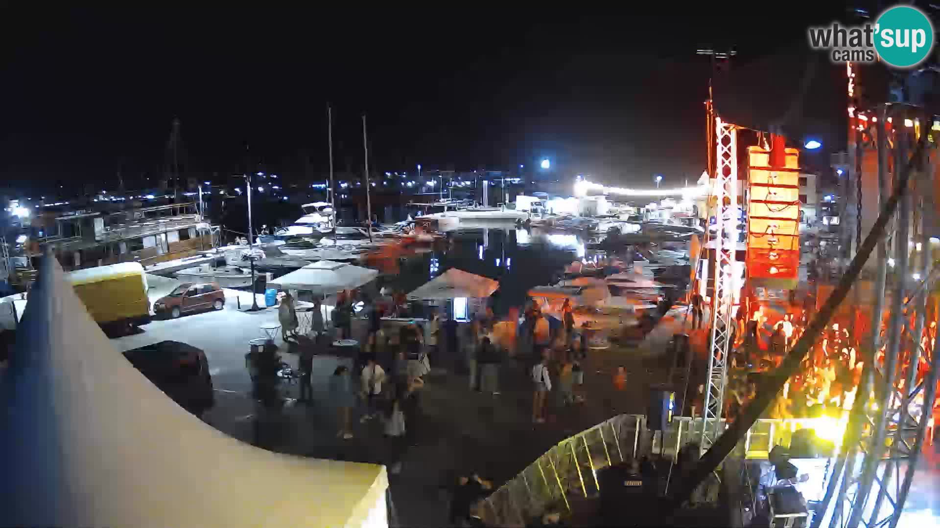 Novigrad | Porporela marina
