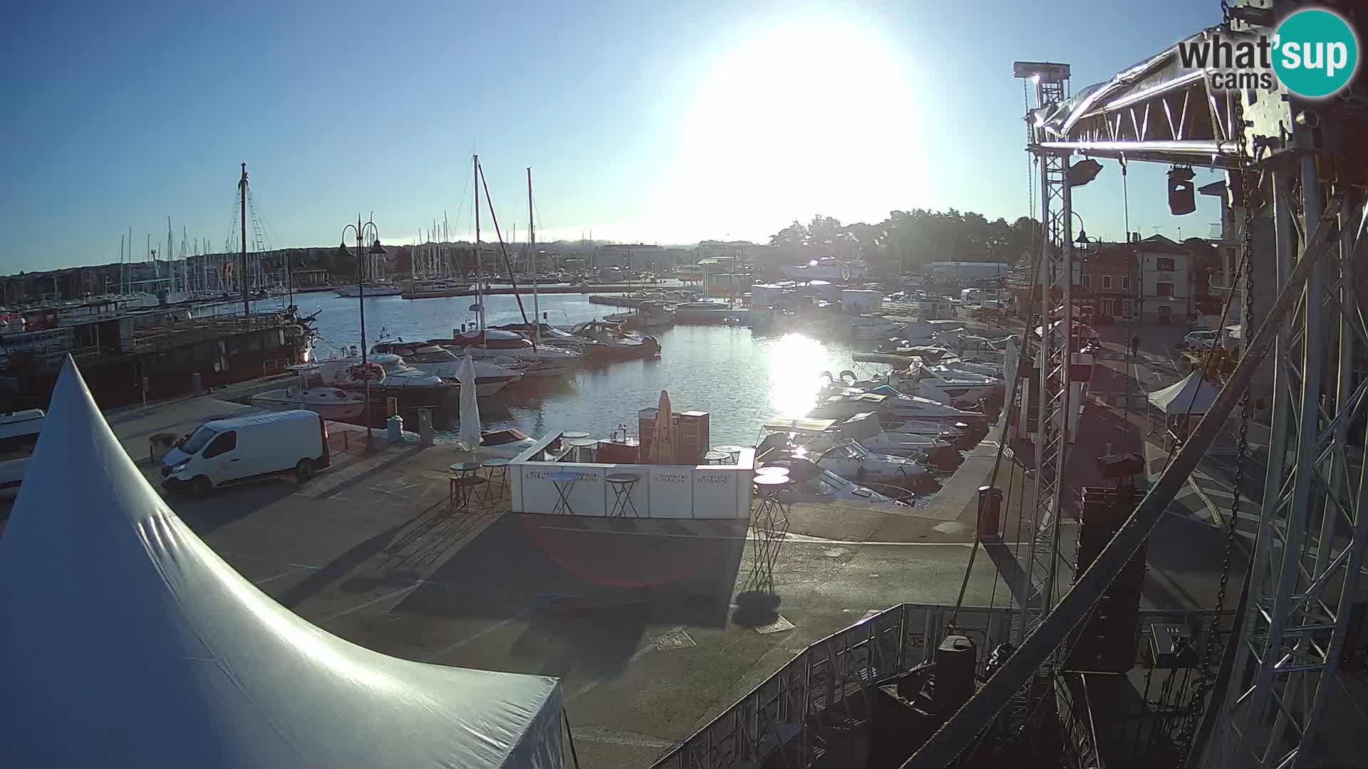 Novigrad | Porporela marina