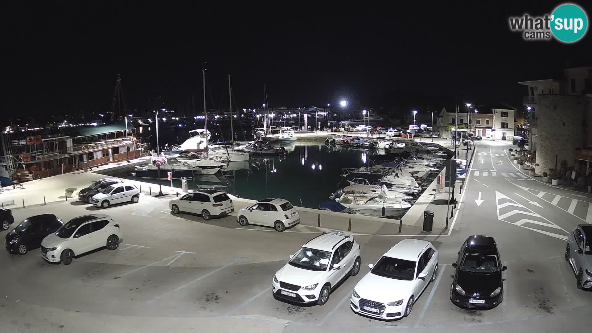 Novigrad | Porporela marina