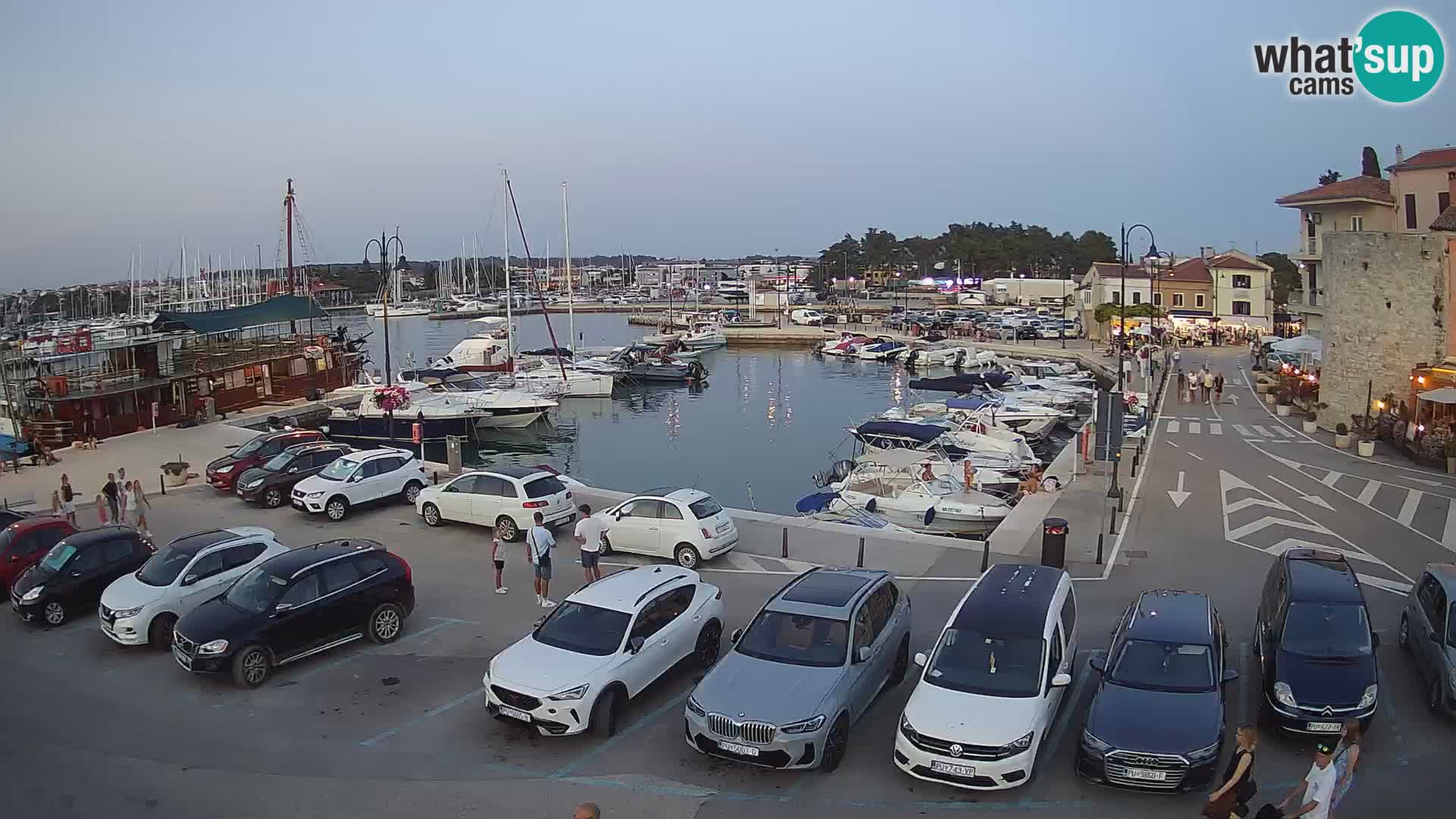 Novigrad | Porporela marina
