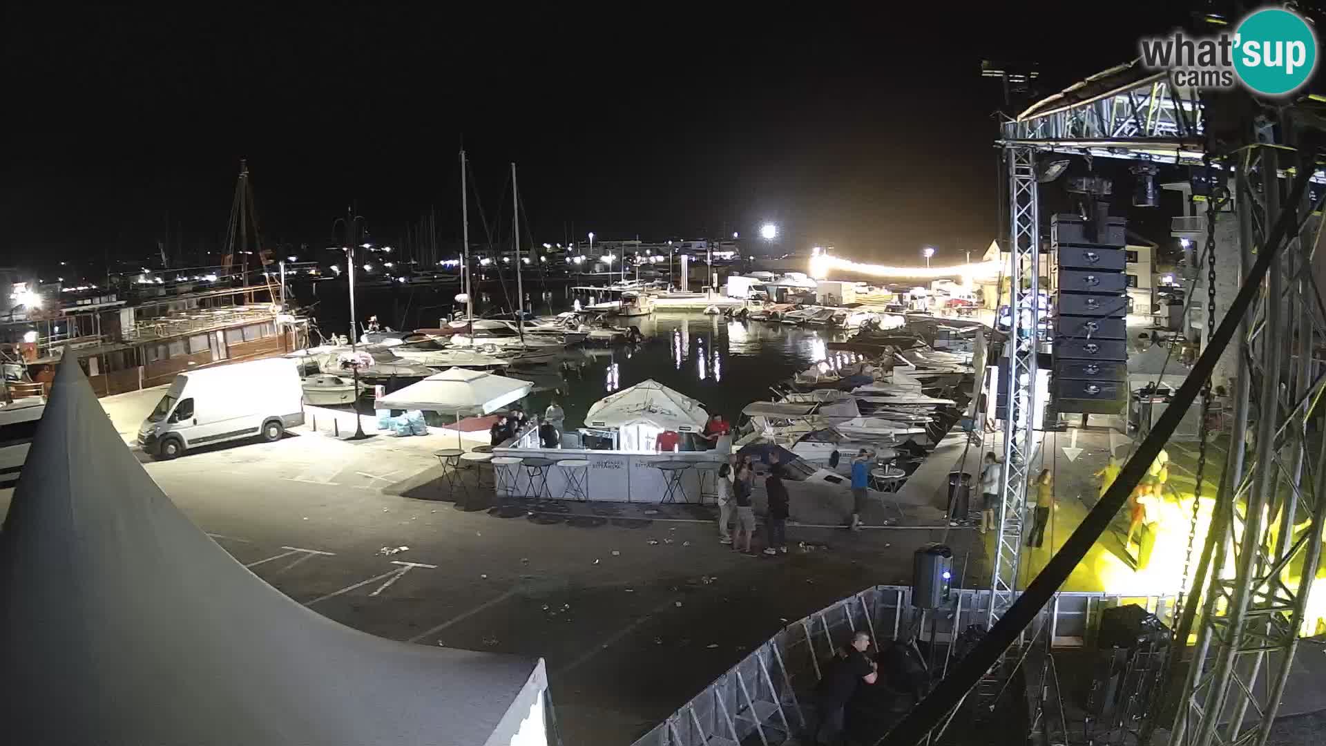 Novigrad | Porporela marina