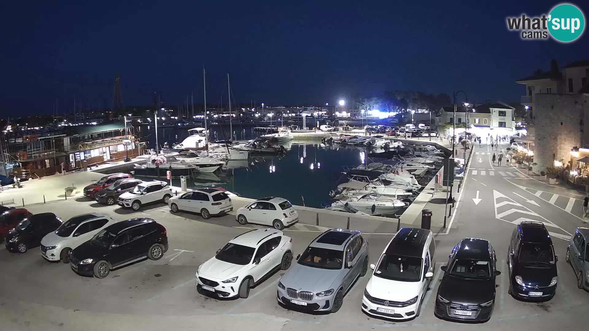 Novigrad | Porporela marina