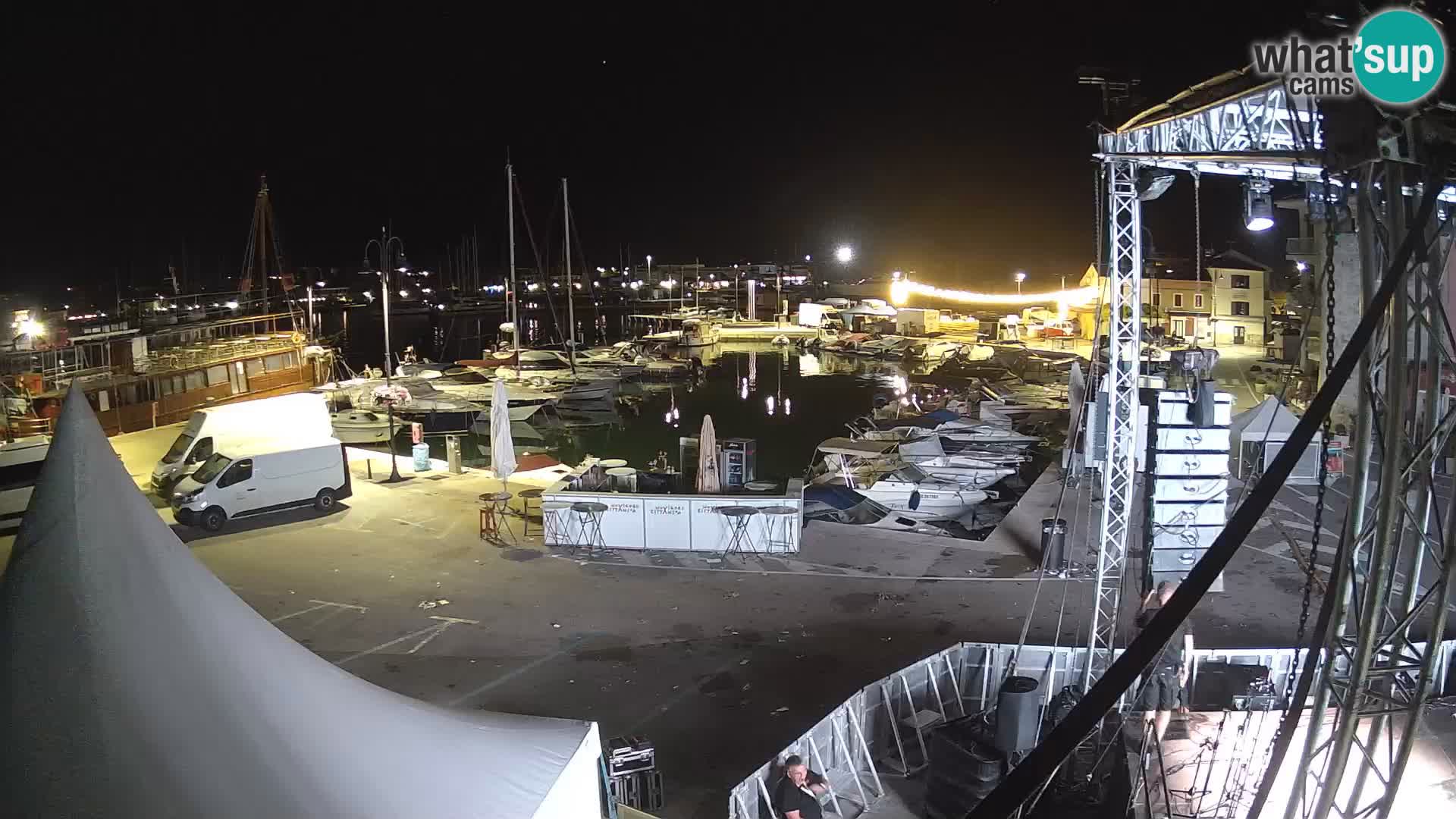 Novigrad | Porporela marina