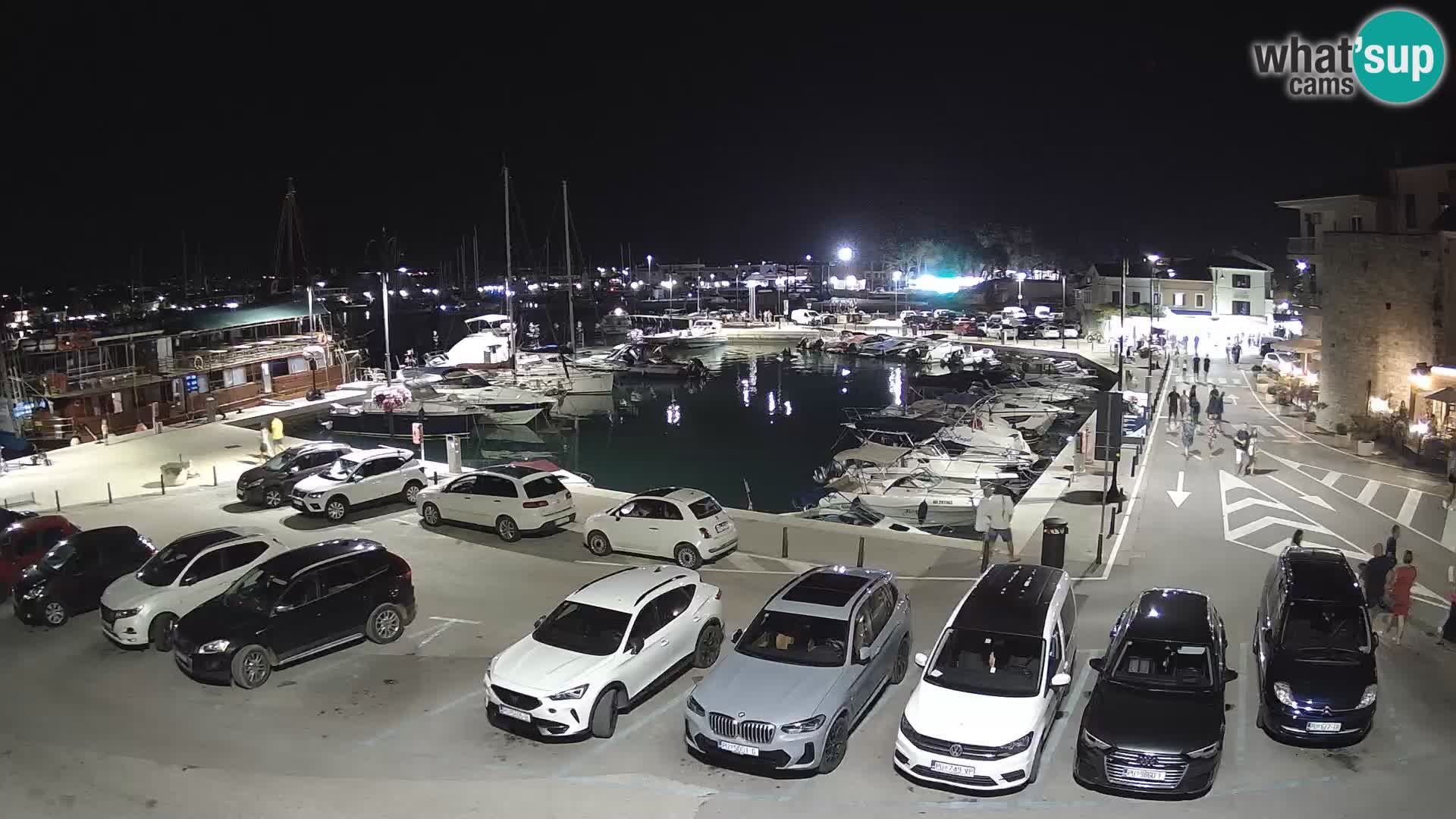 Novigrad | Porporela marina