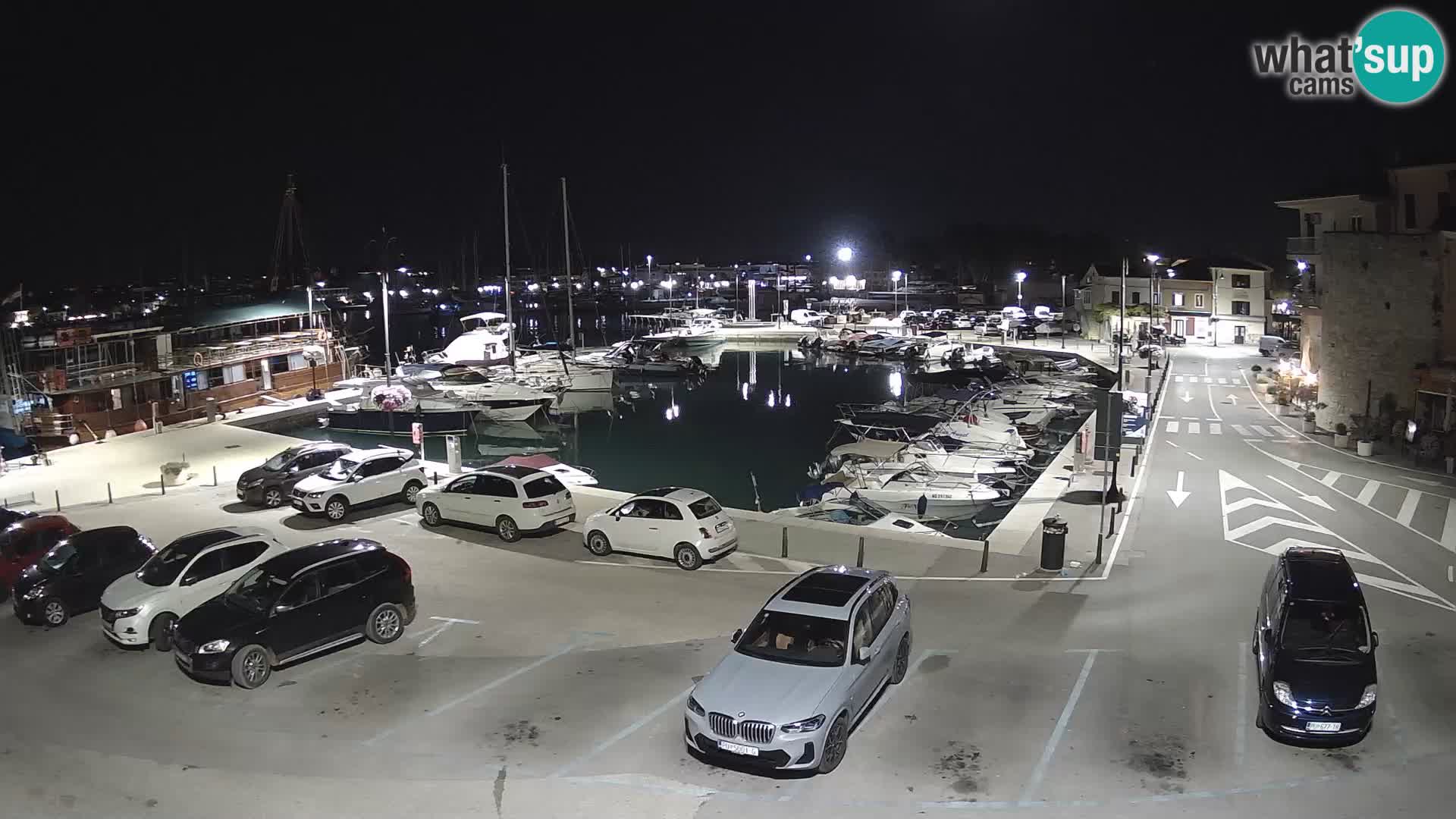 Novigrad | Porporela marina