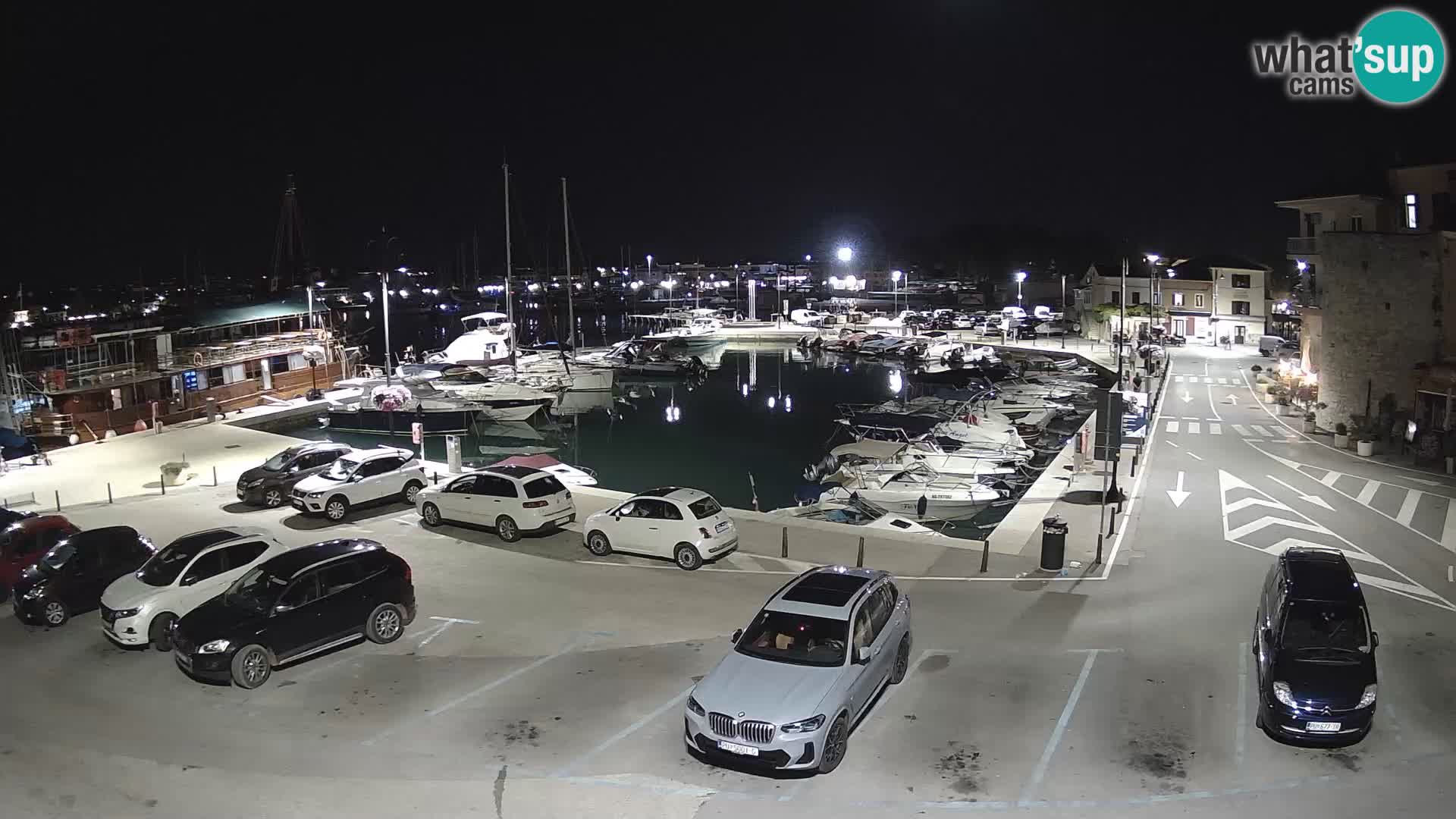 Novigrad | Porporela marina