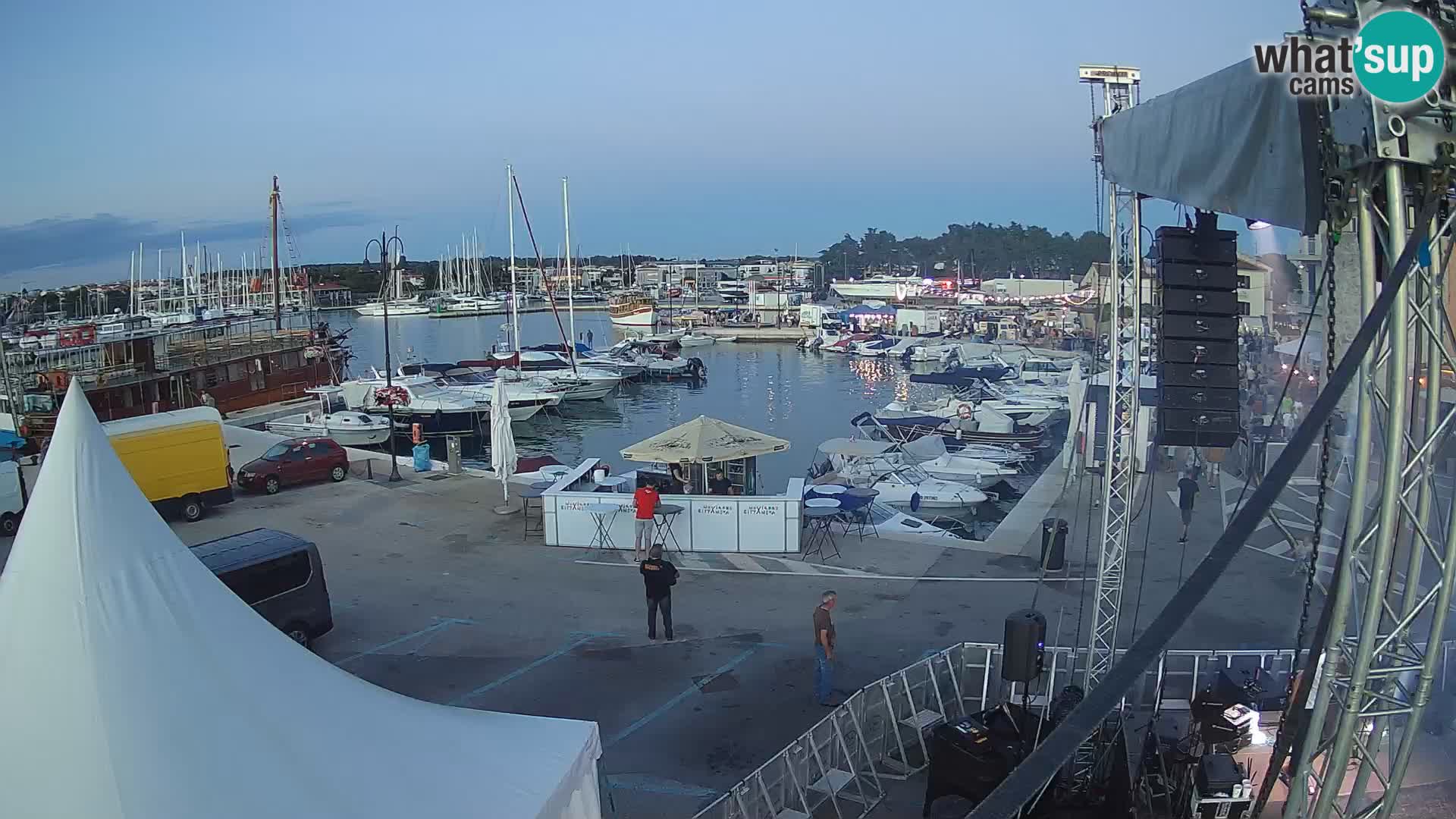 Novigrad | Porporela marina