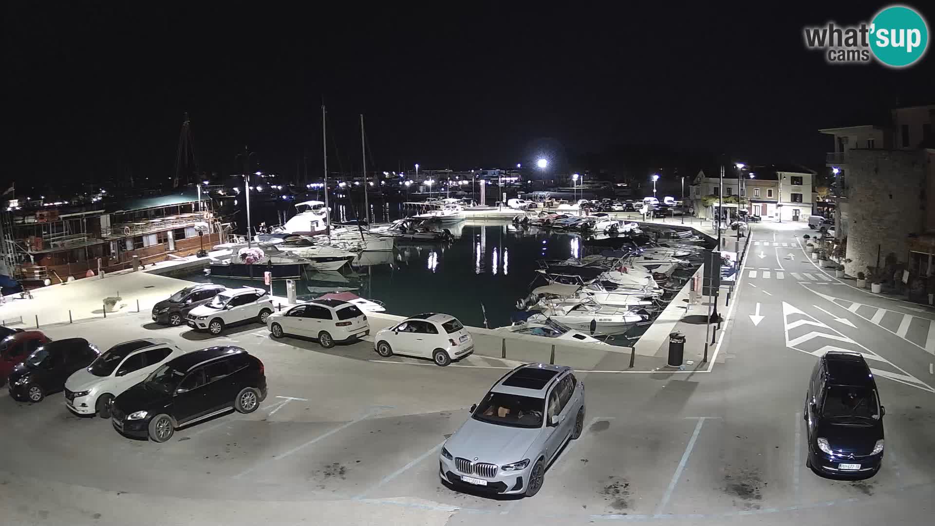 Novigrad | Porporela marina