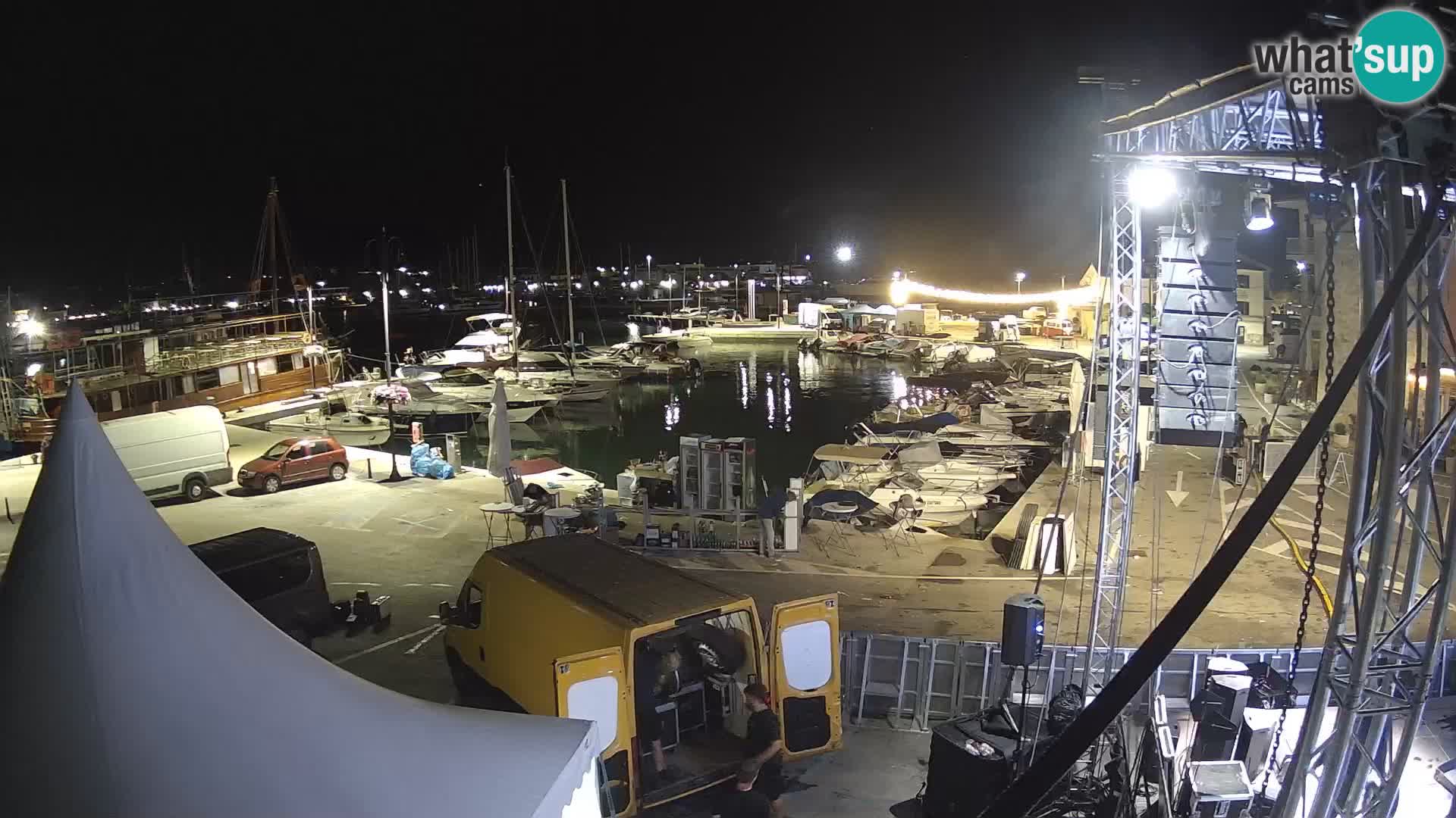 Novigrad | Porporela marina
