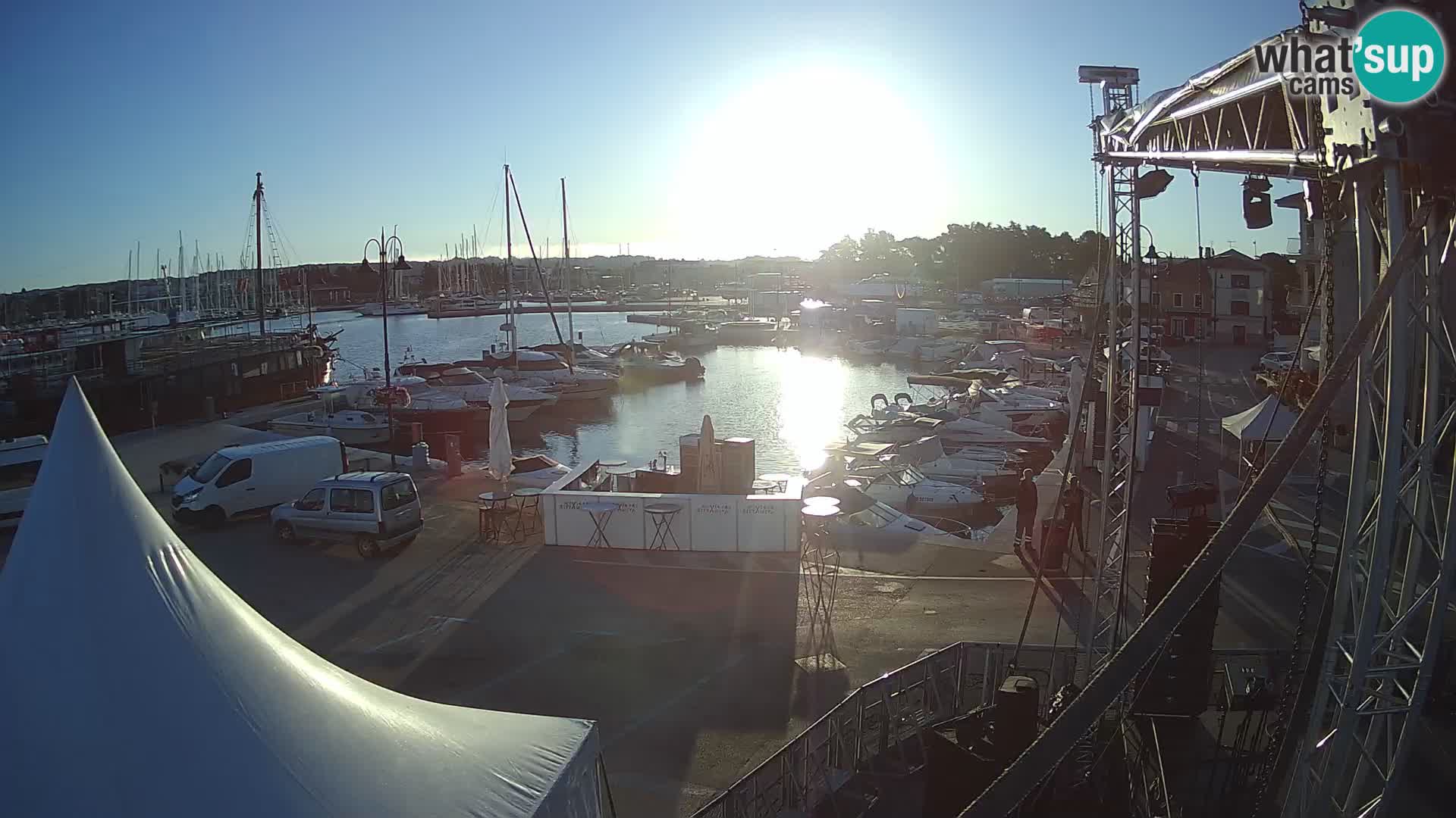 Novigrad | Porporela marina
