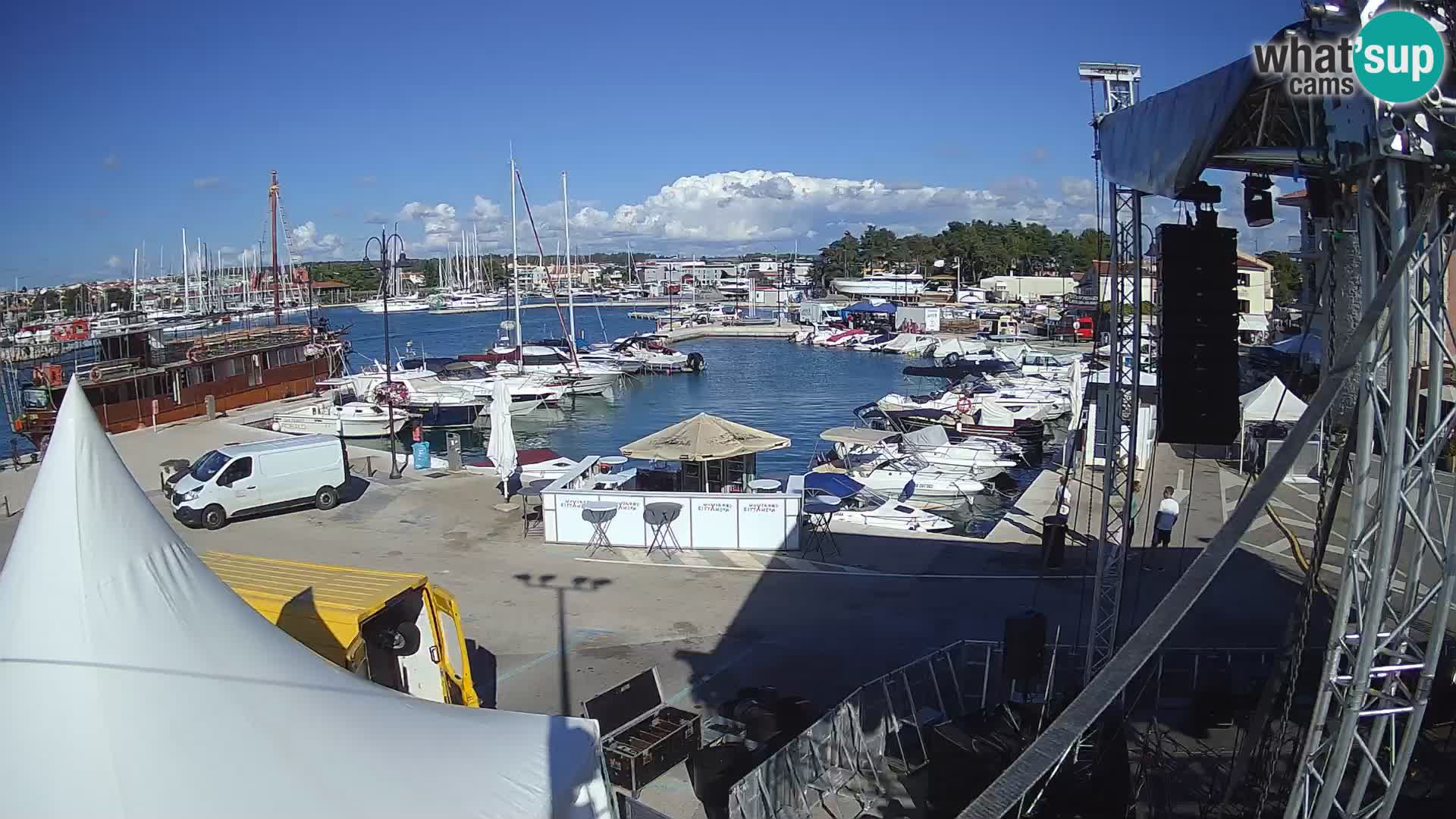 Novigrad | Porporela marina