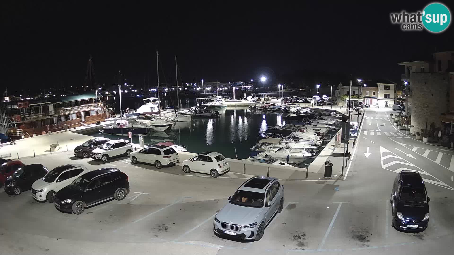 Novigrad | Porporela marina
