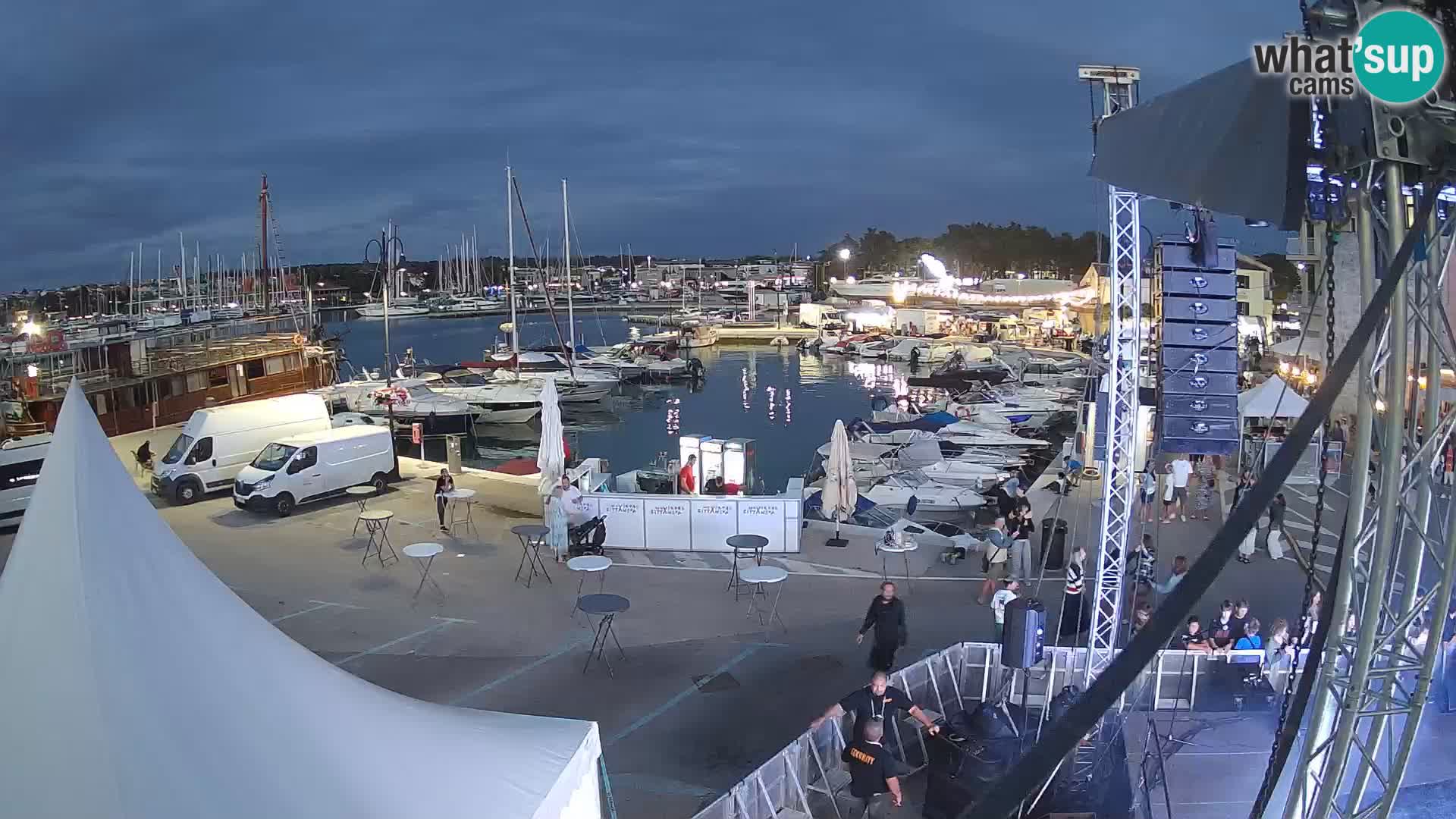 Novigrad | Porporela marina