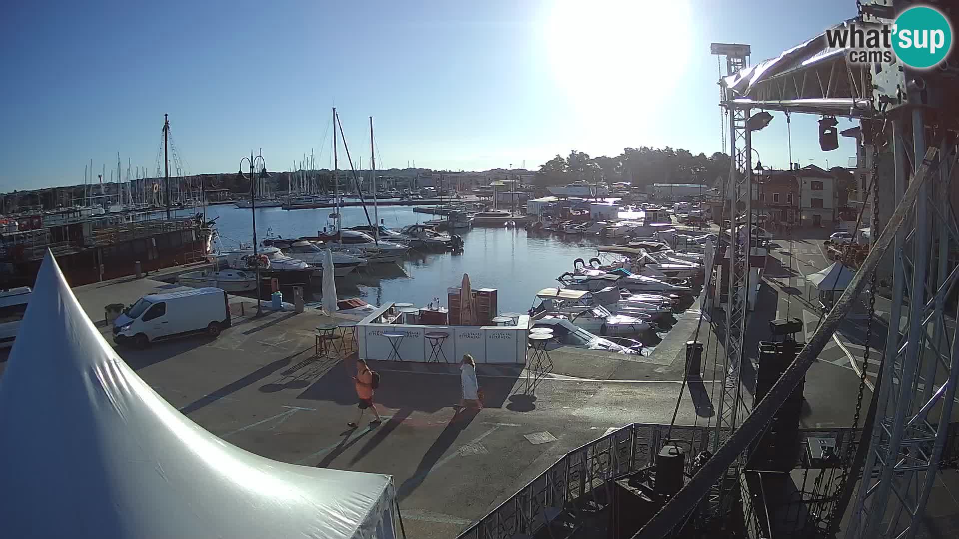 Novigrad | Porporela marina