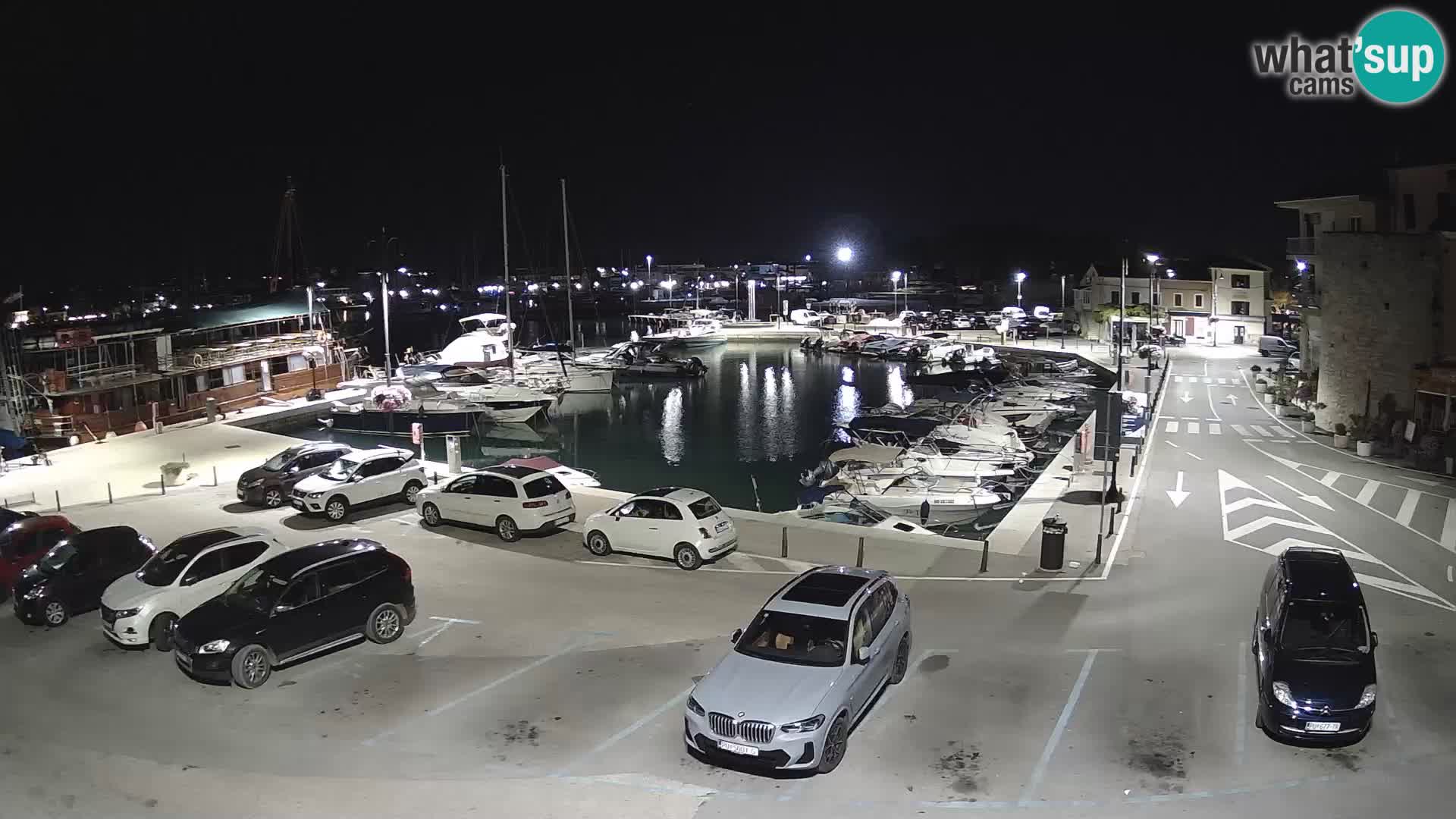 Novigrad | Porporela marina