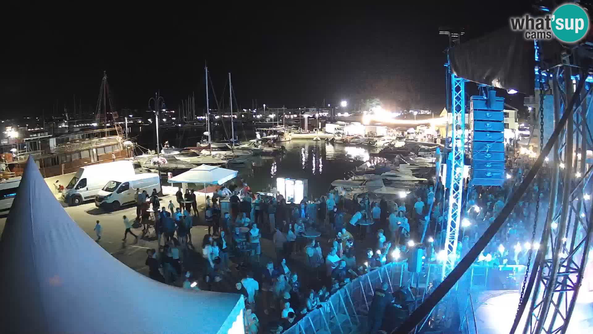 Novigrad | Porporela marina