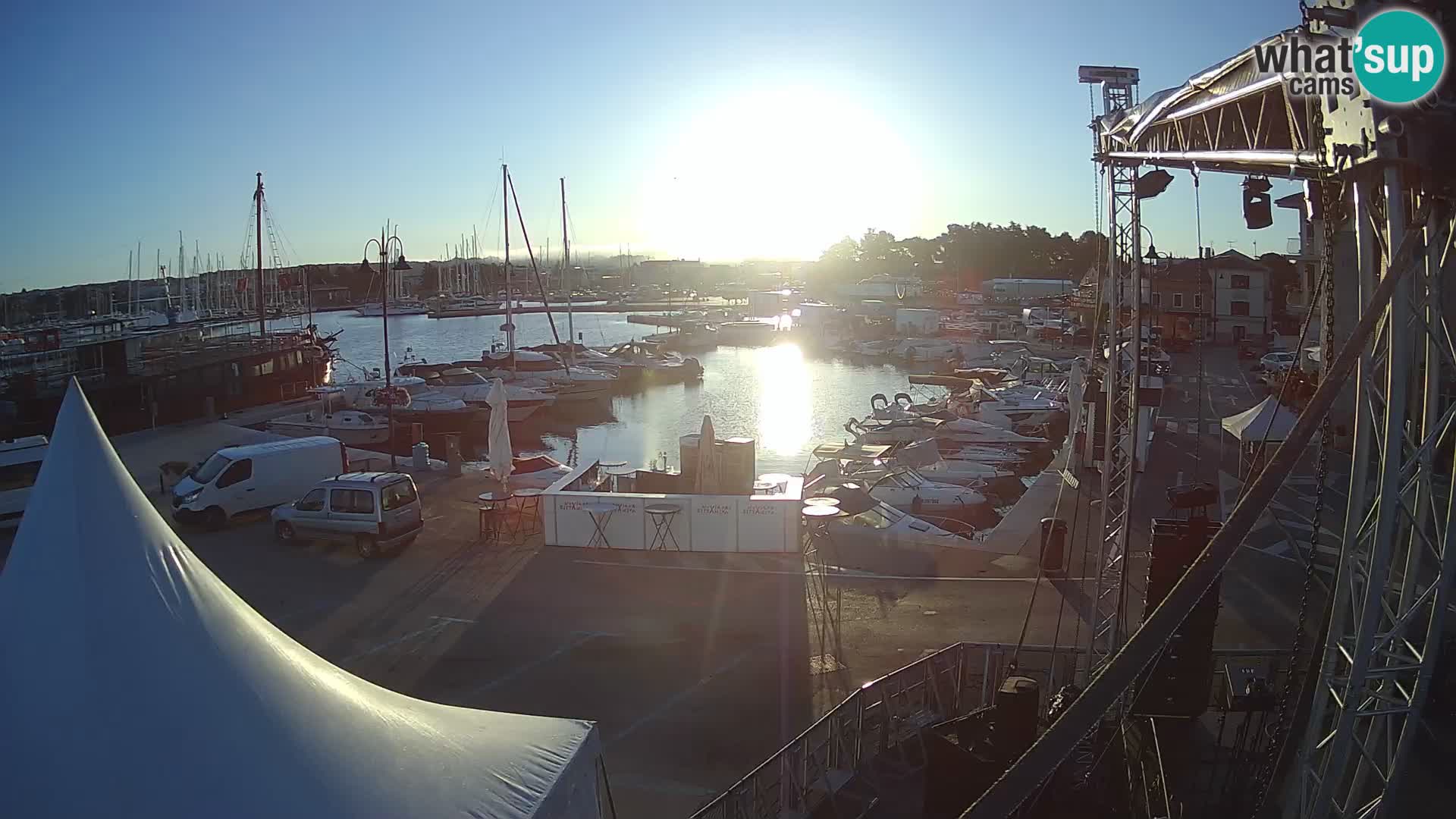 Novigrad | Porporela marina