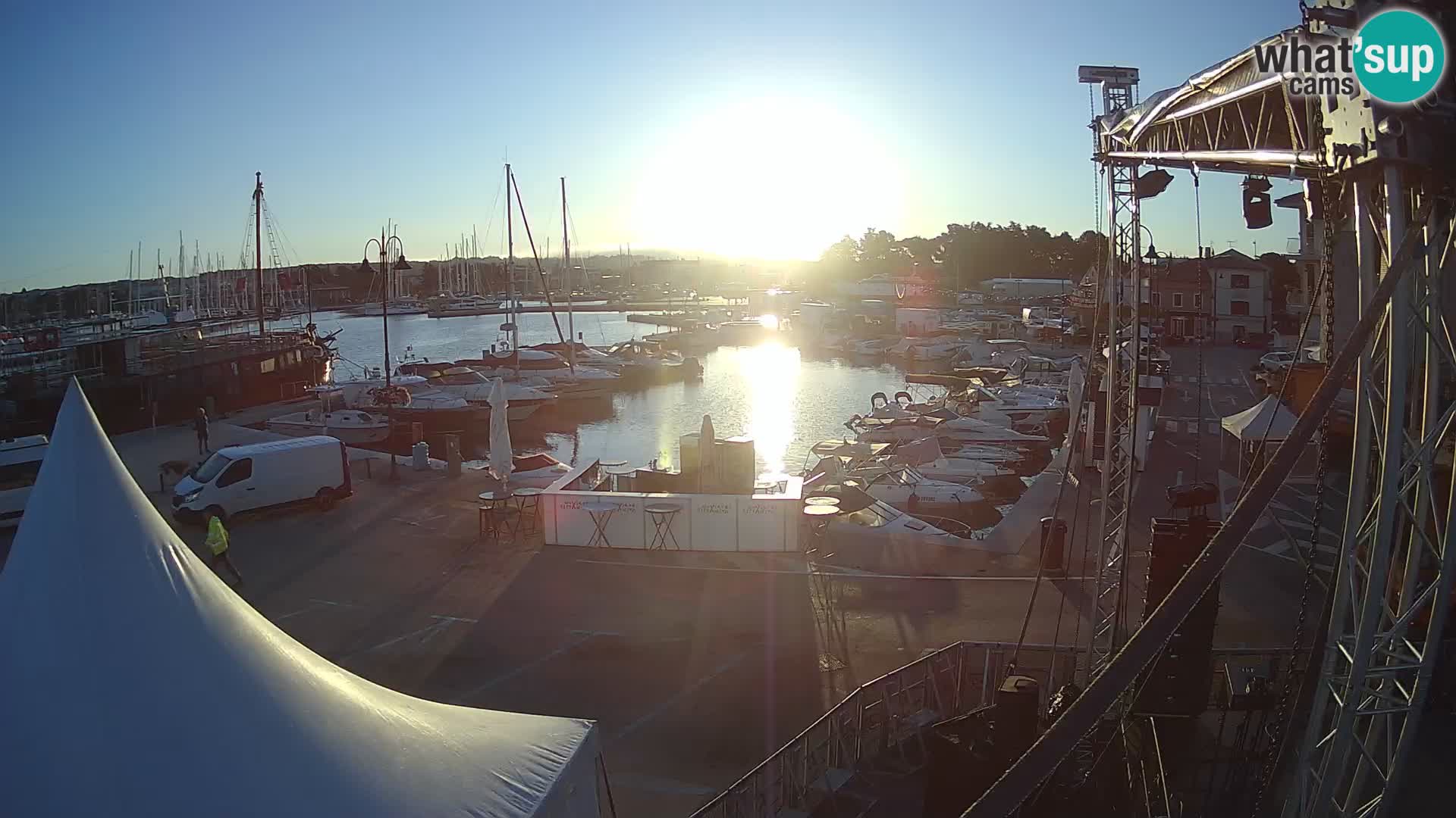 Novigrad | Porporela marina