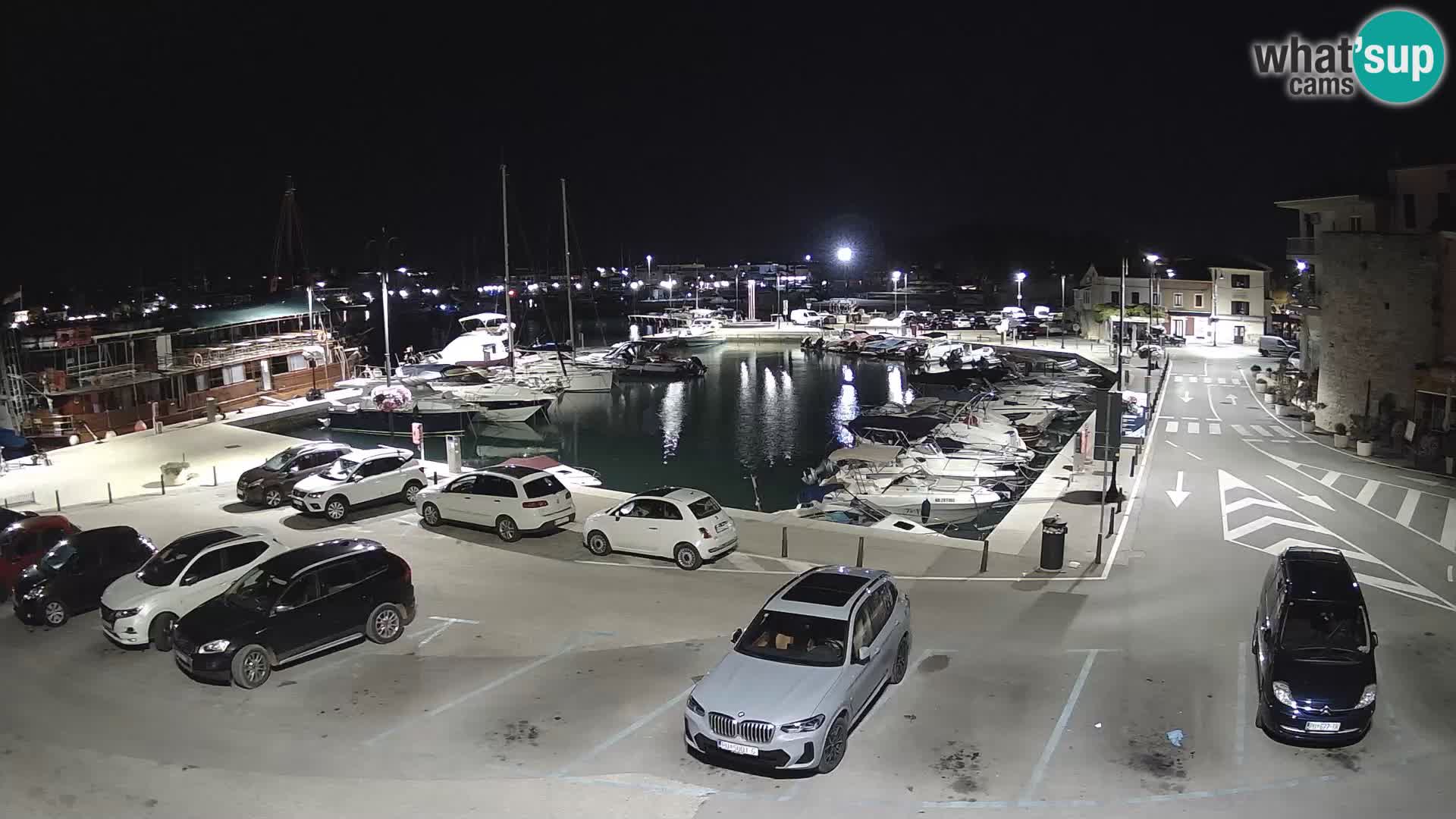 Novigrad | Porporela marina