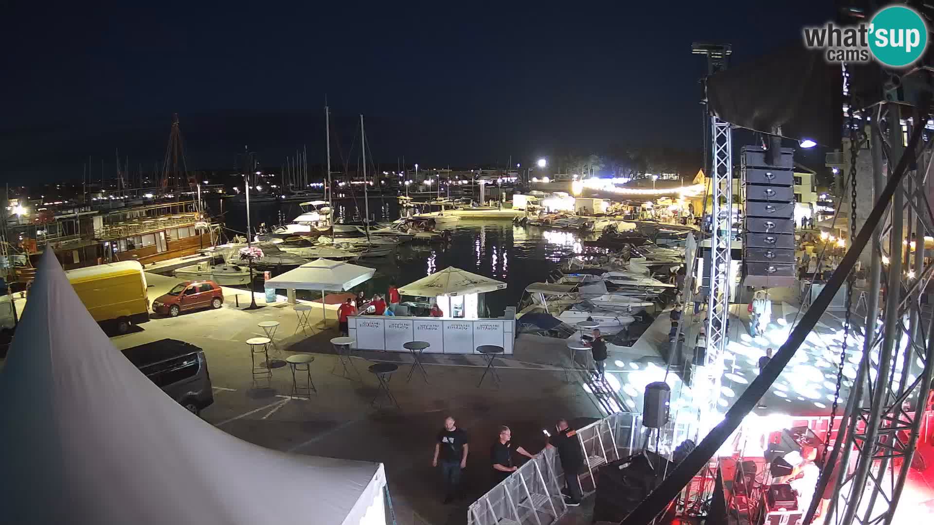 Novigrad | Porporela marina