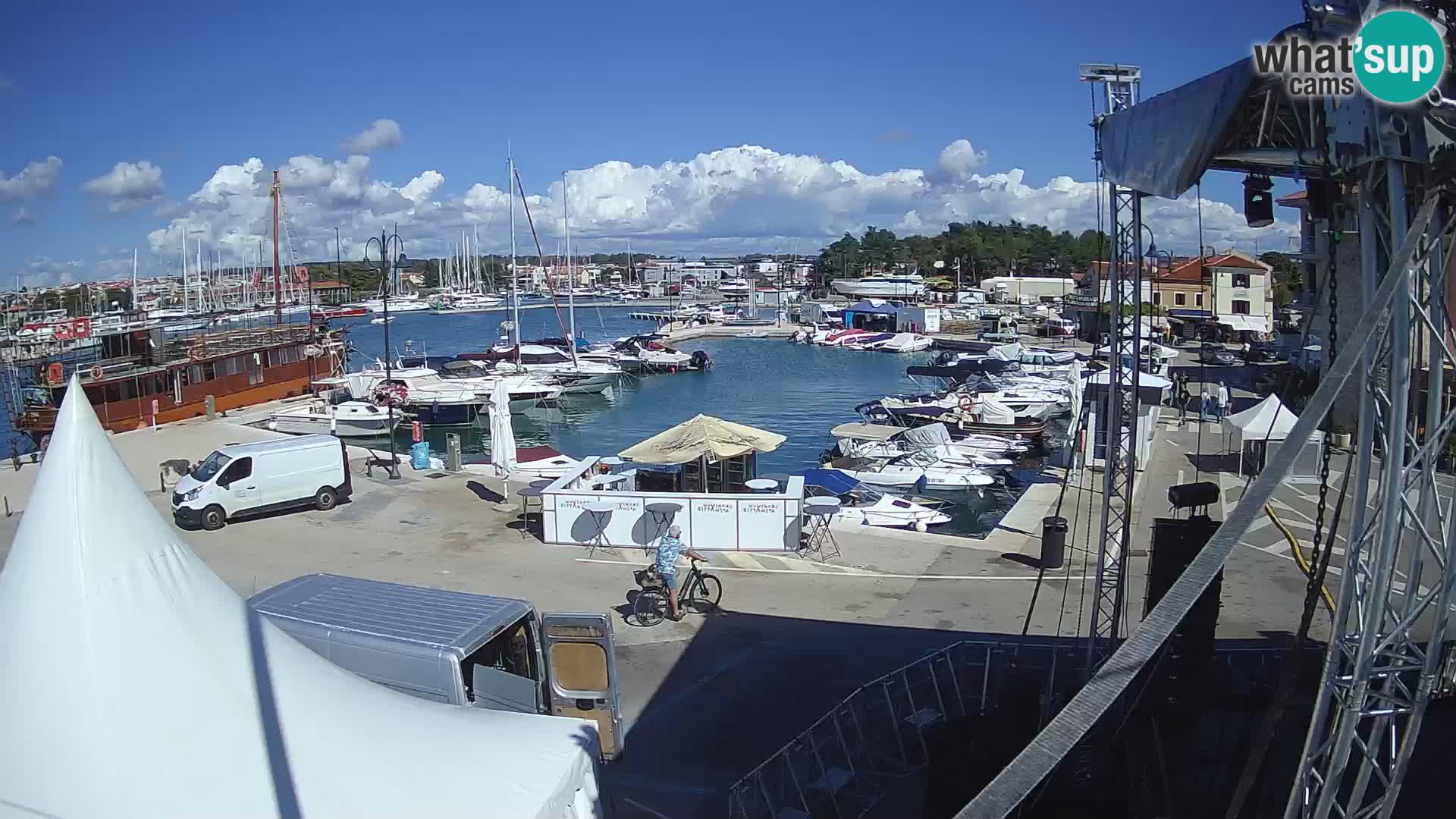 Novigrad | Porporela marina