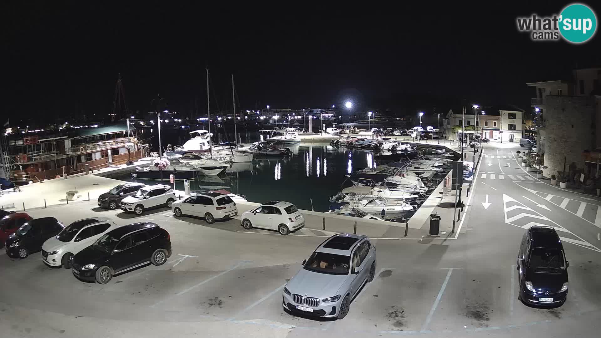 Novigrad | Porporela marina
