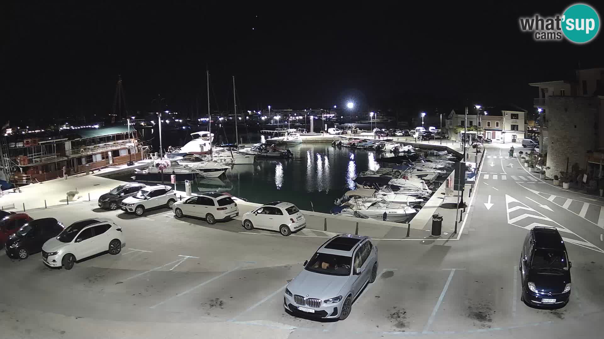 Novigrad | Porporela marina