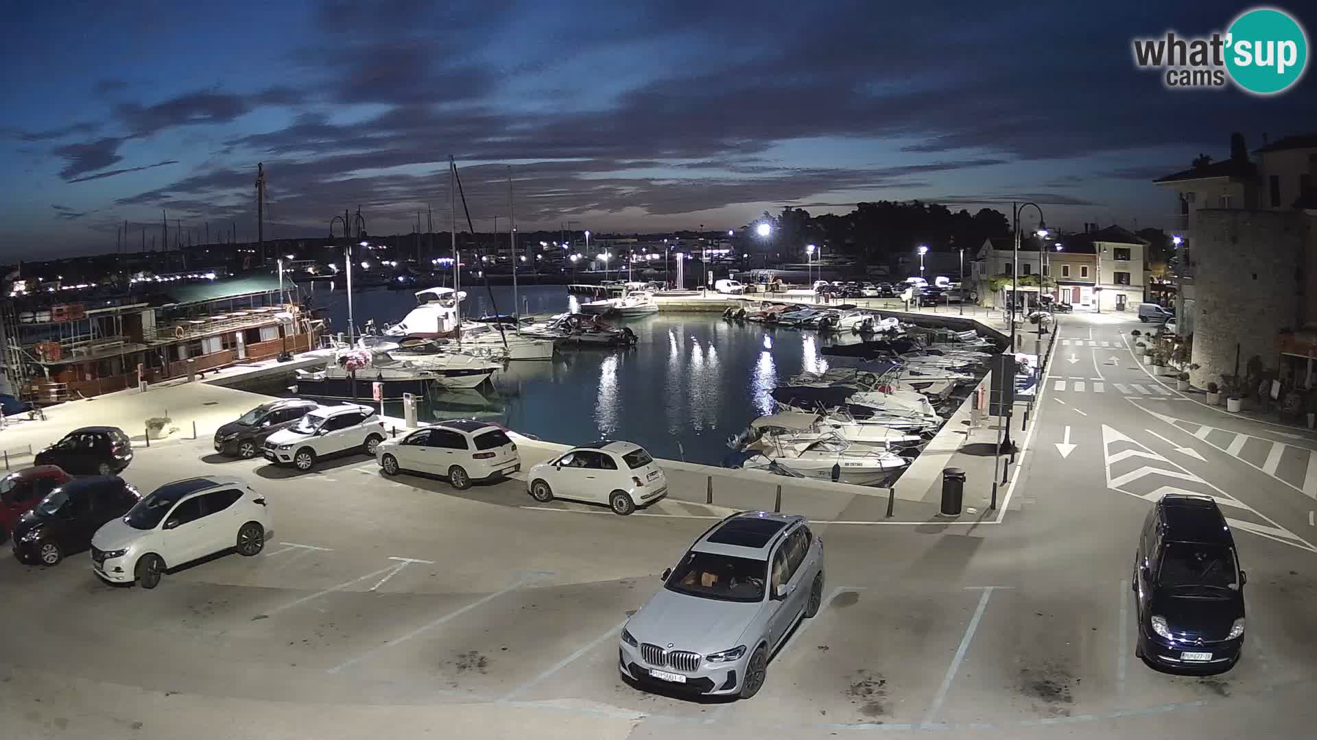Novigrad | Porporela marina