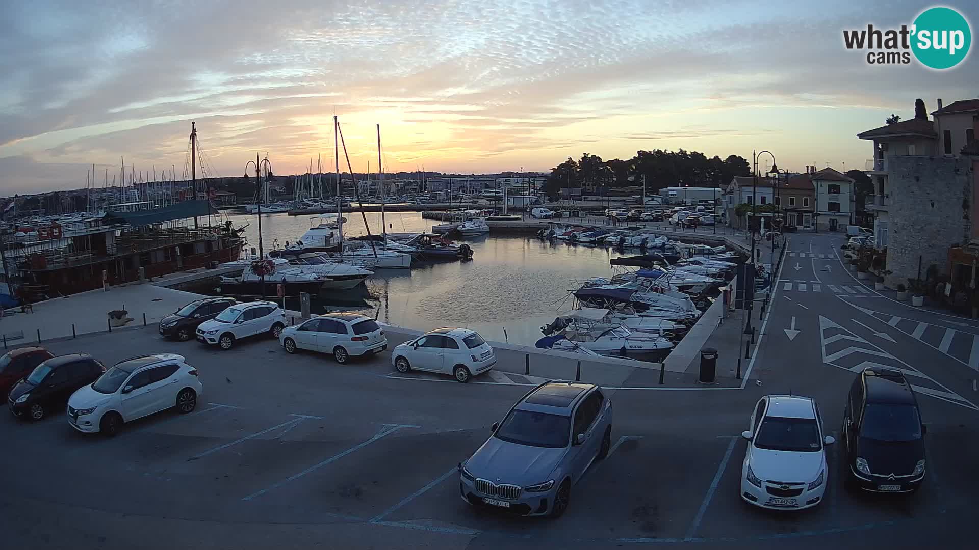 Novigrad | Porporela marina