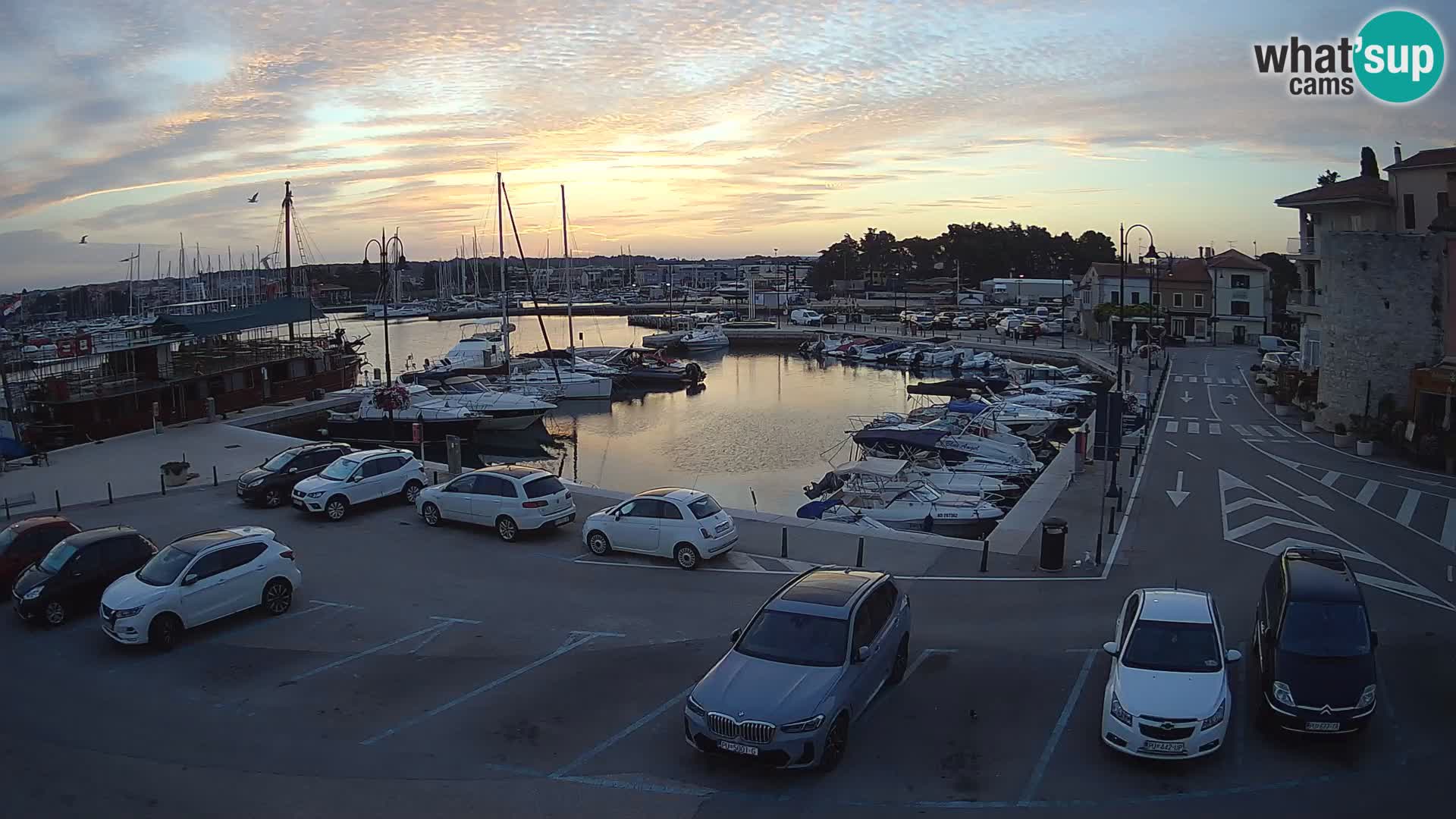 Novigrad | Porporela marina