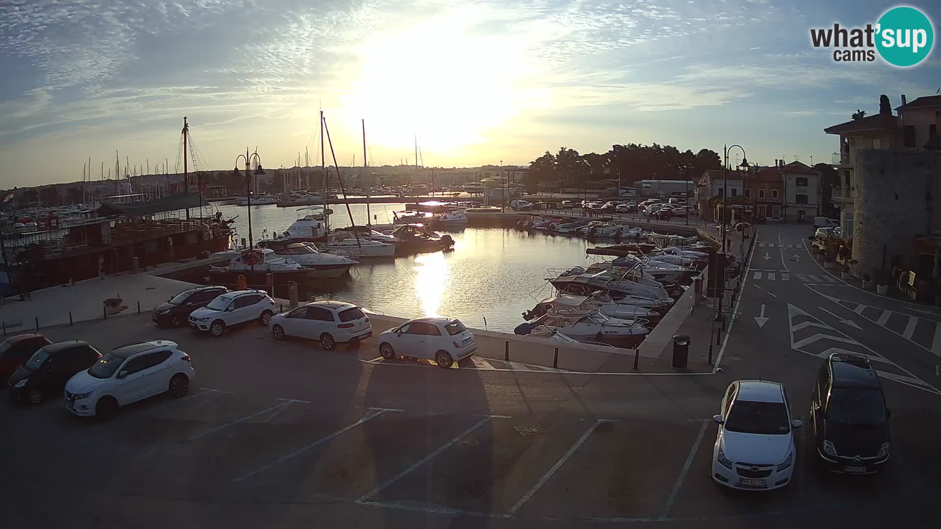 Novigrad | Porporela marina
