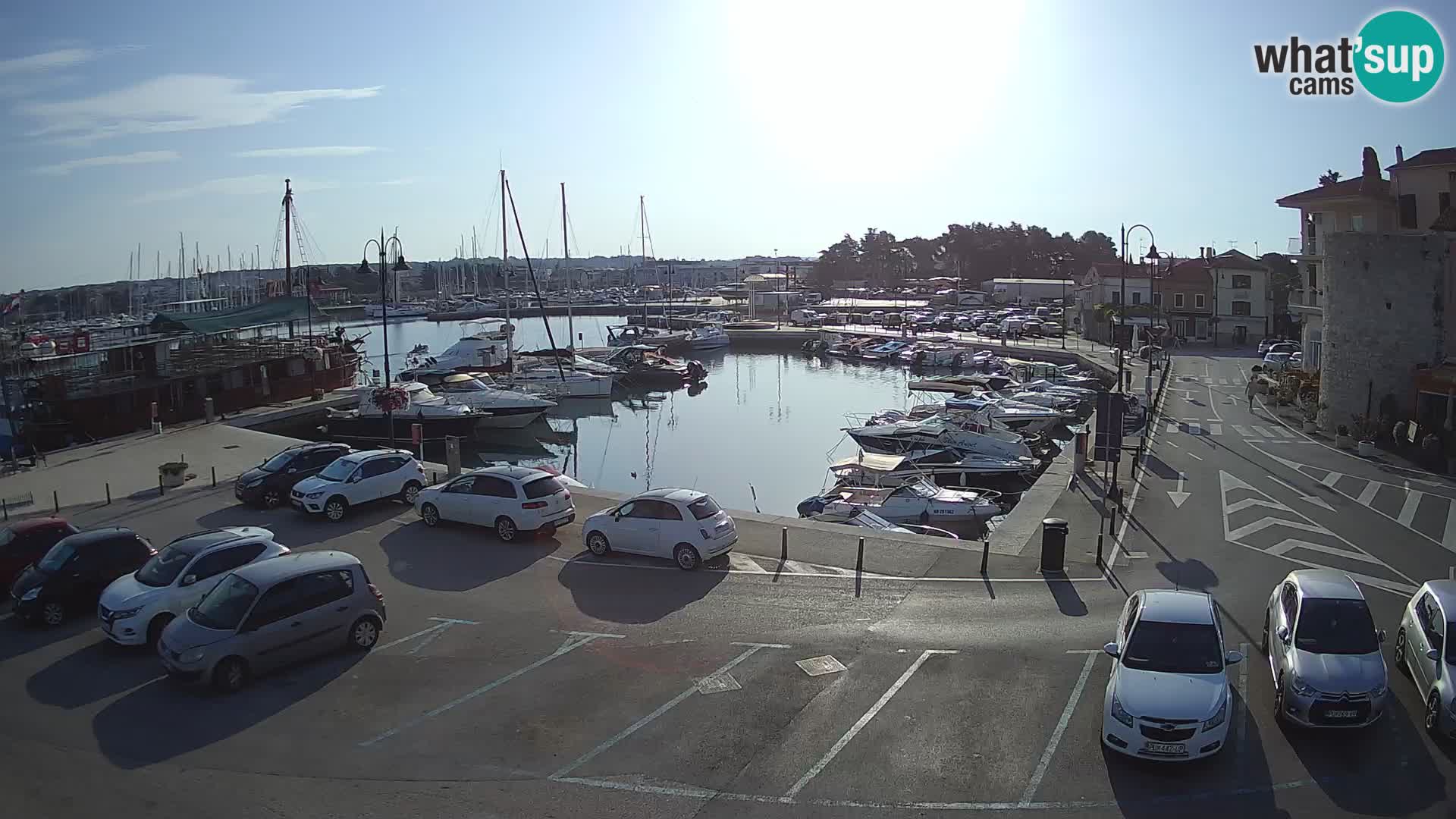 Novigrad | Porporela marina