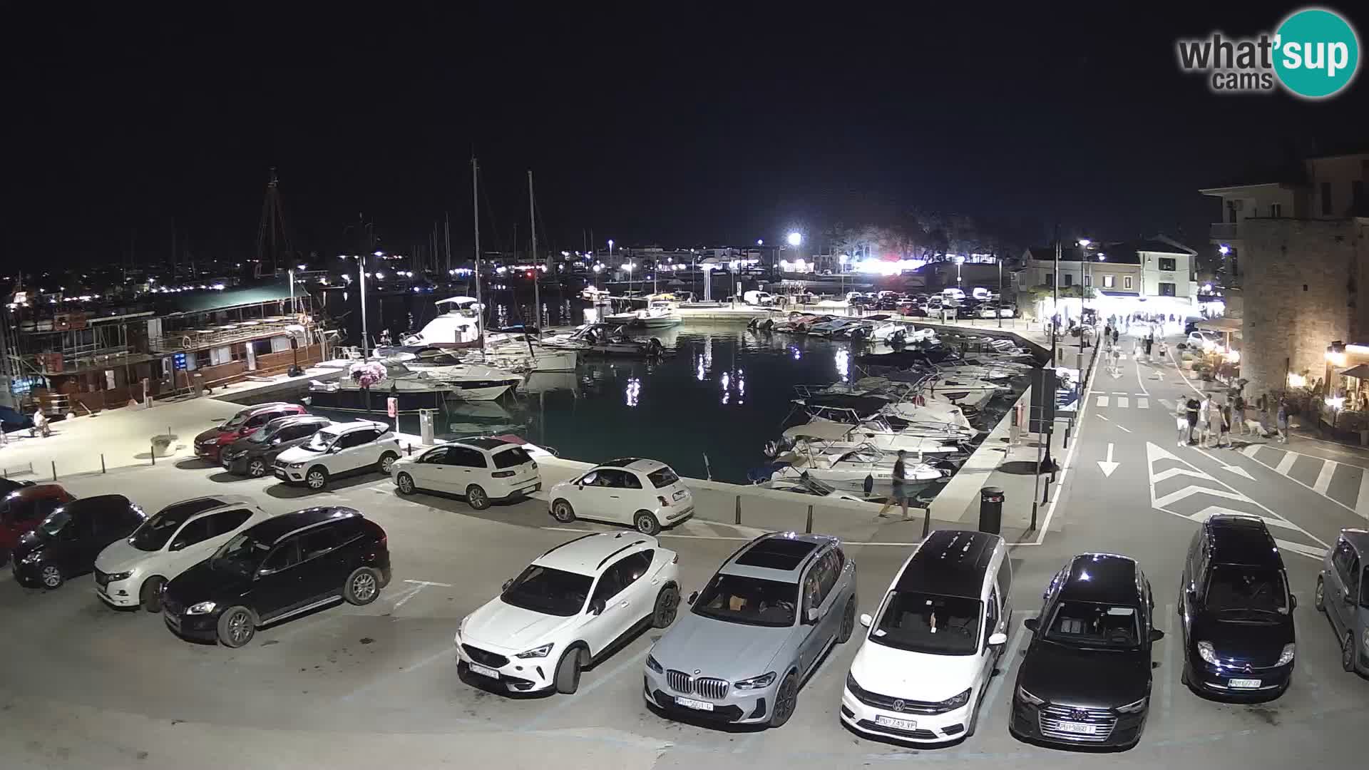 Novigrad | Porporela marina
