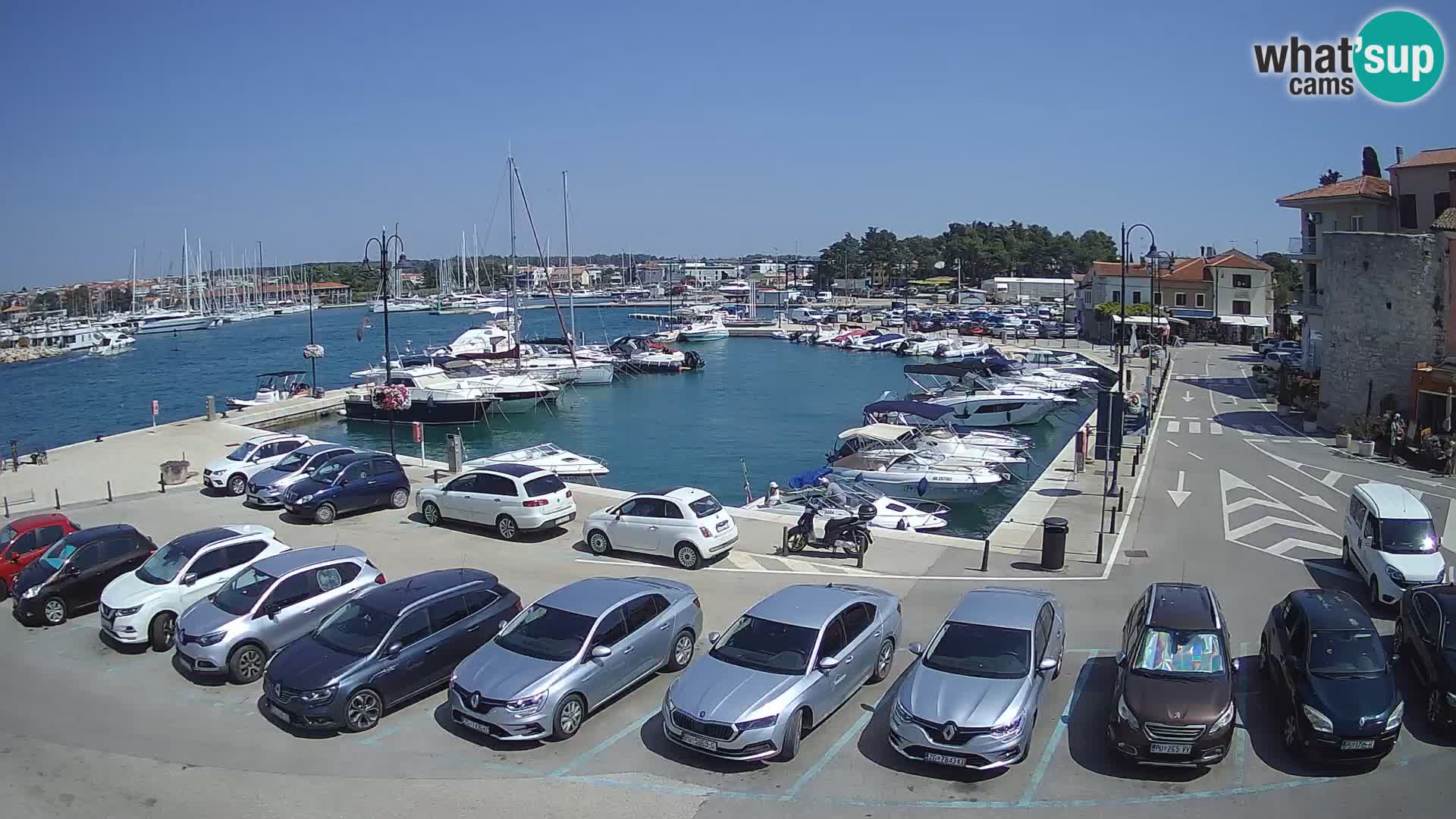 Novigrad | Porporela marina