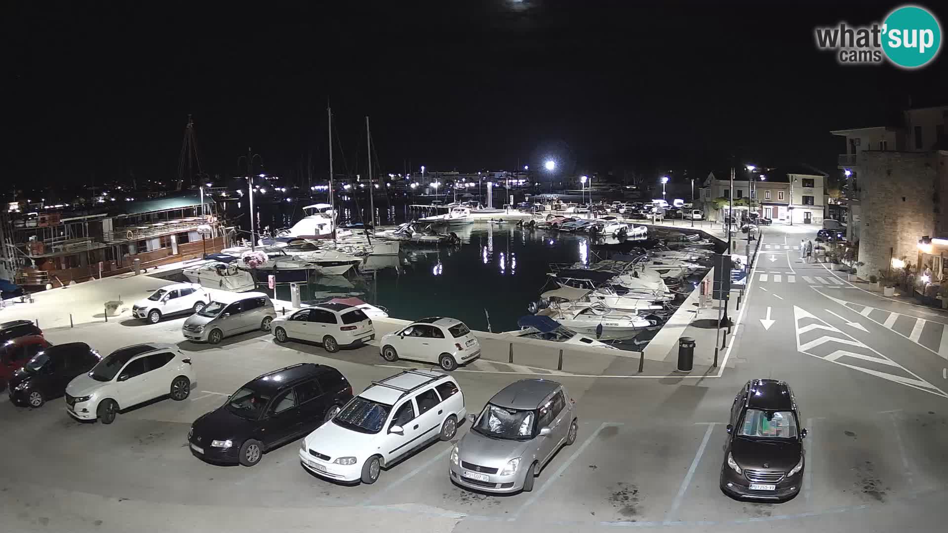 Novigrad | Porporela marina