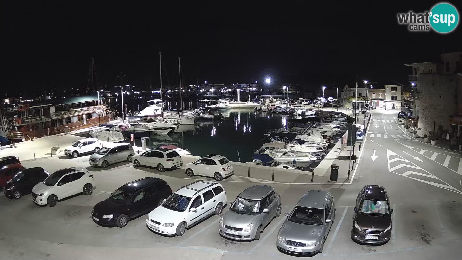 Novigrad | Porporela marina