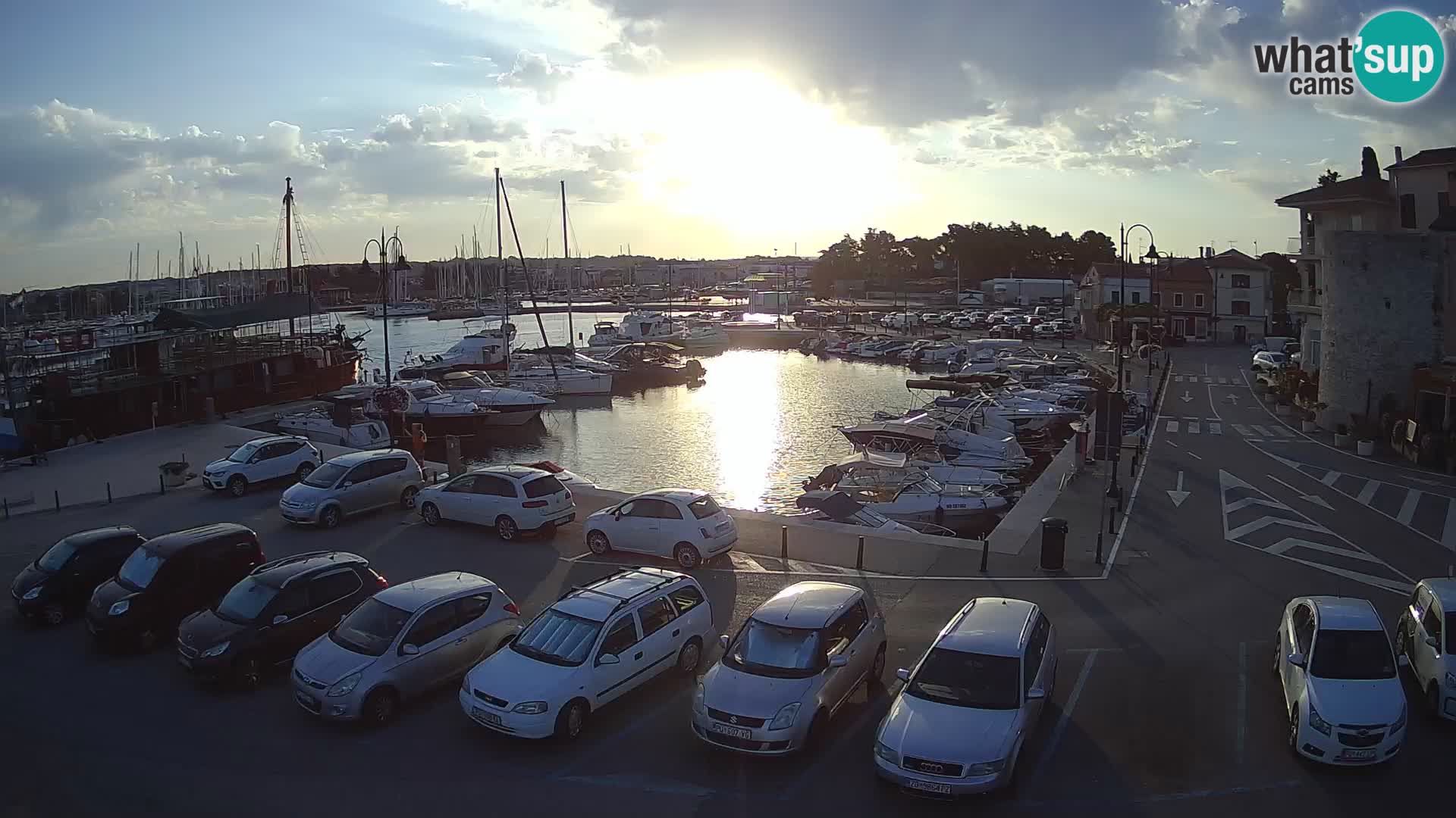Novigrad | Porporela marina