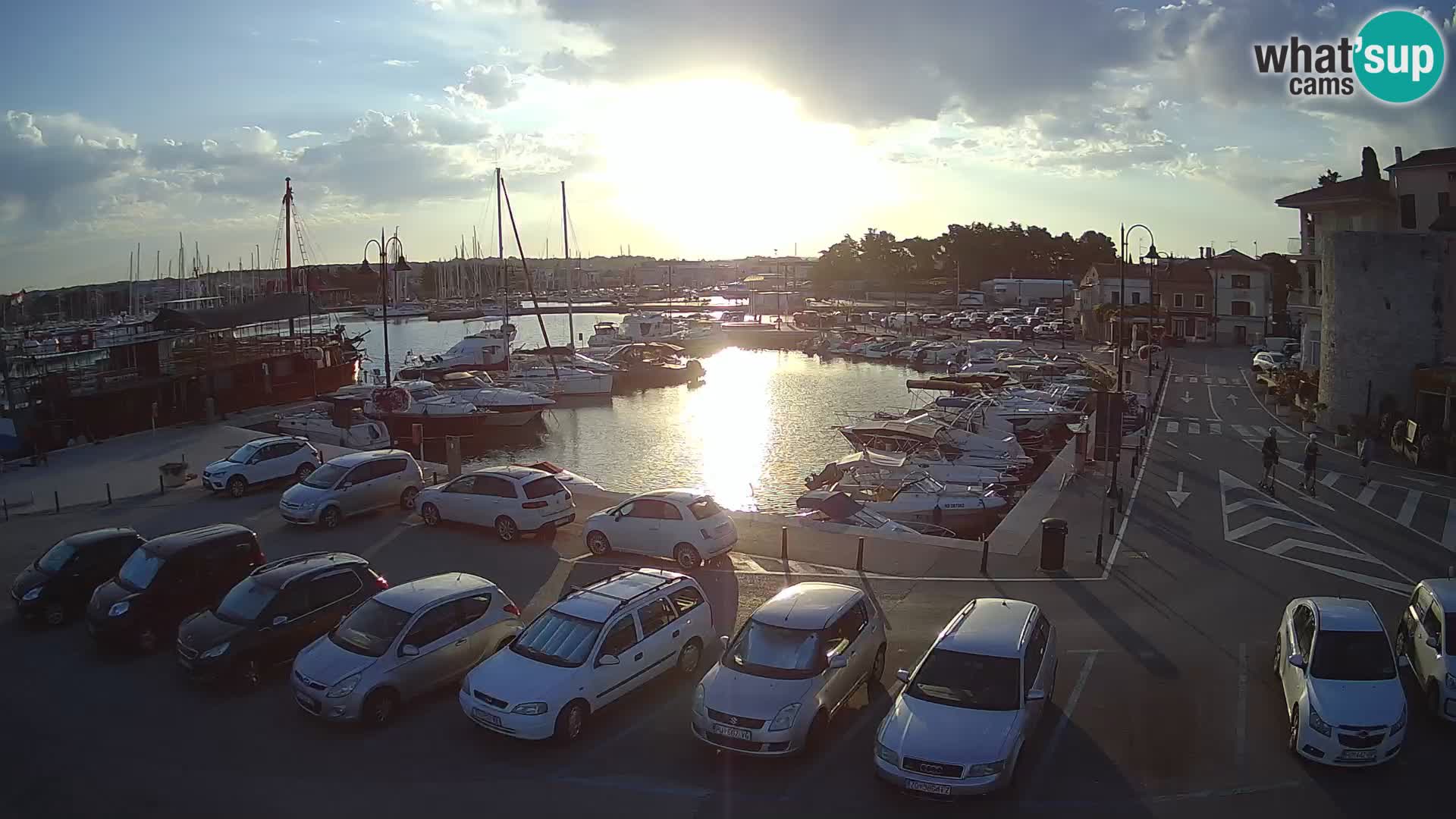 Novigrad | Porporela marina