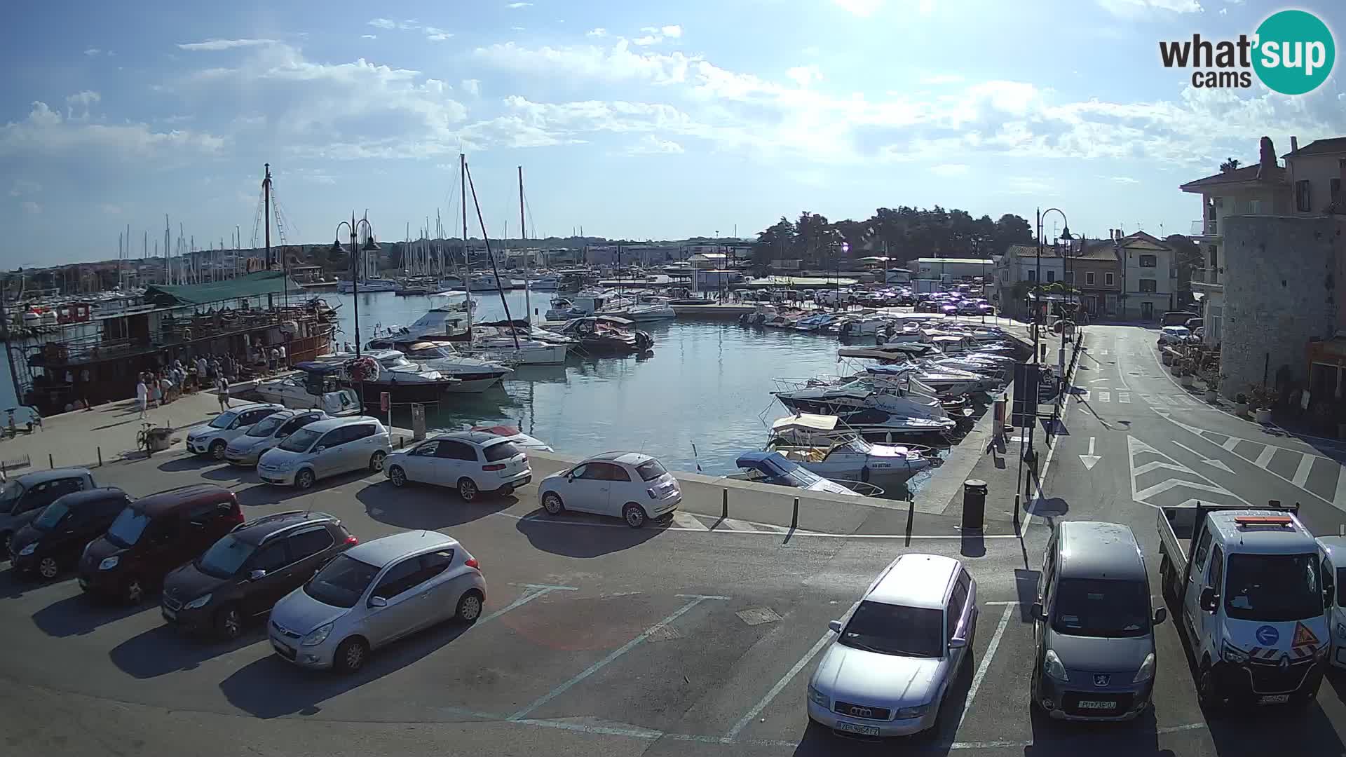 Novigrad | Porporela marina