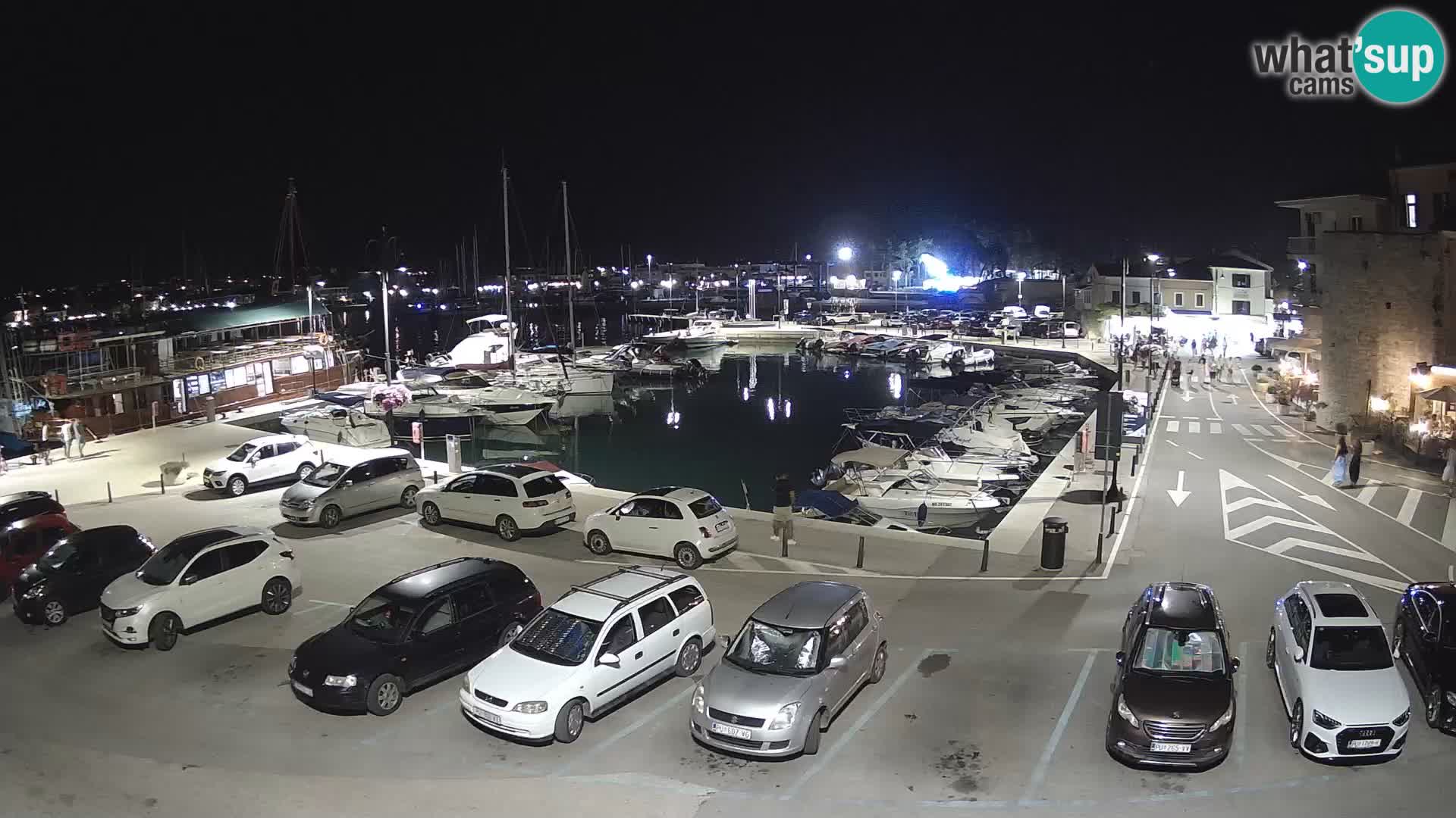 Novigrad | Porporela marina